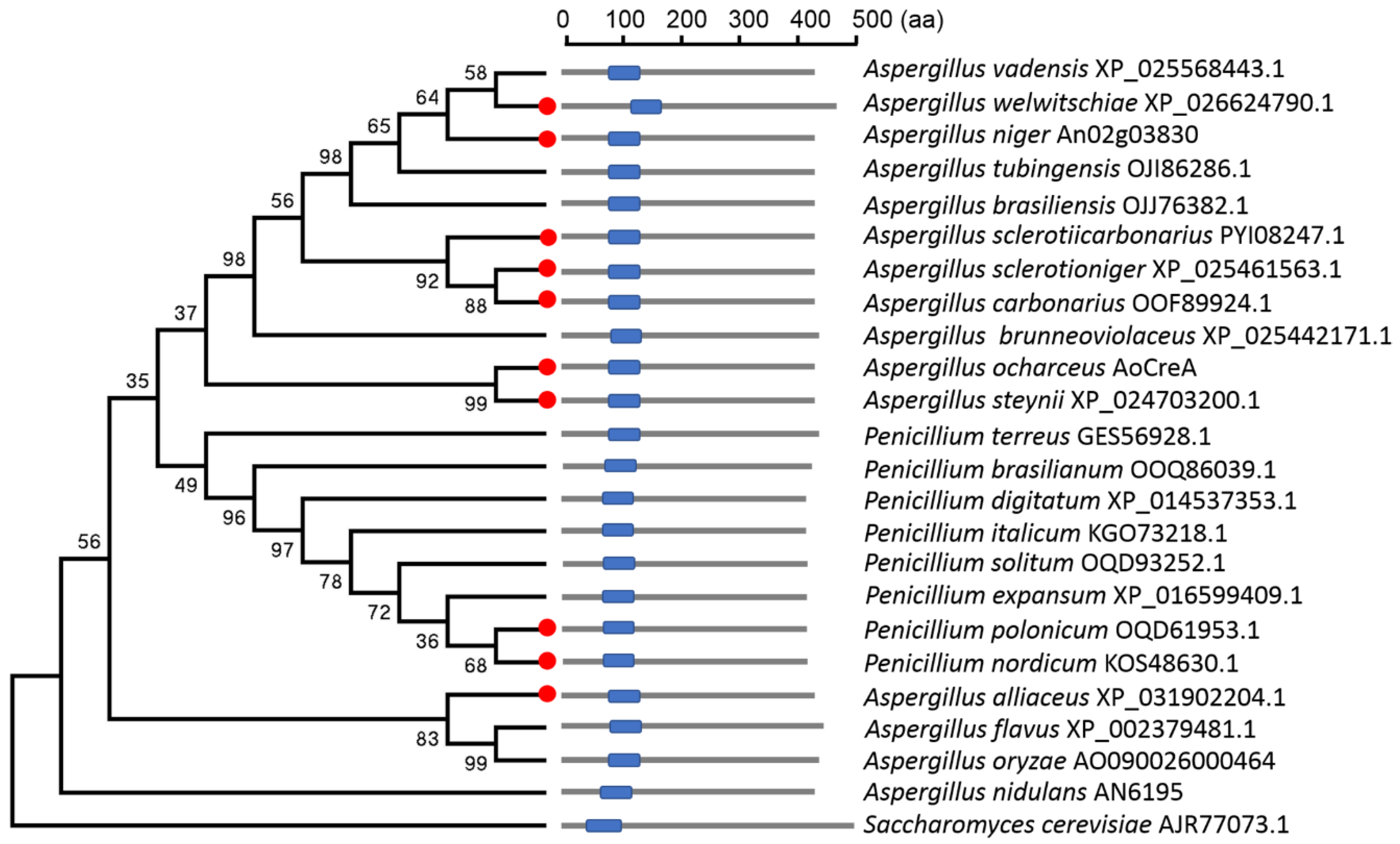 Toxins 12 00697 g001 Toxins 12 00697 g001