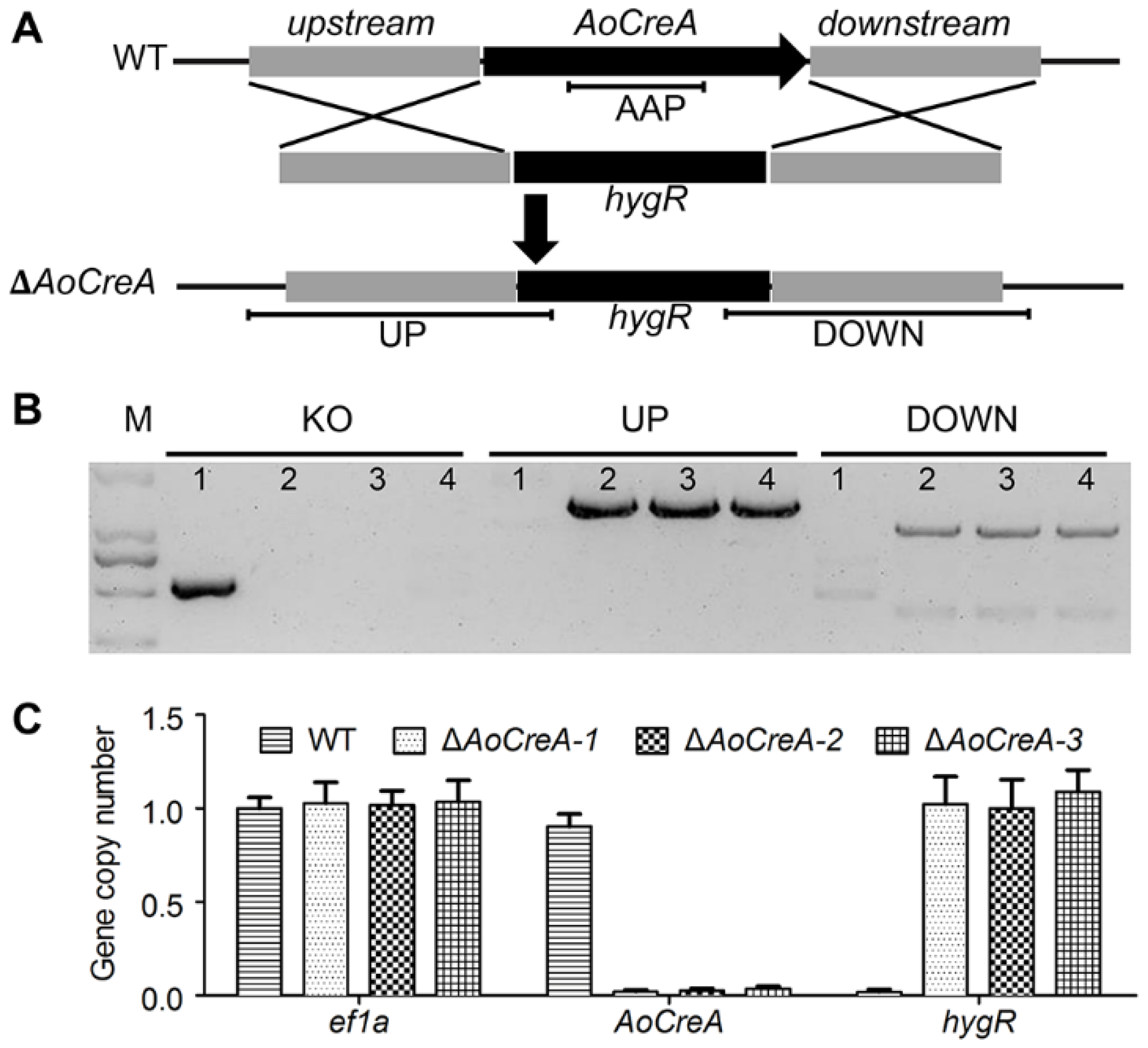Toxins 12 00697 g002 Toxins 12 00697 g002