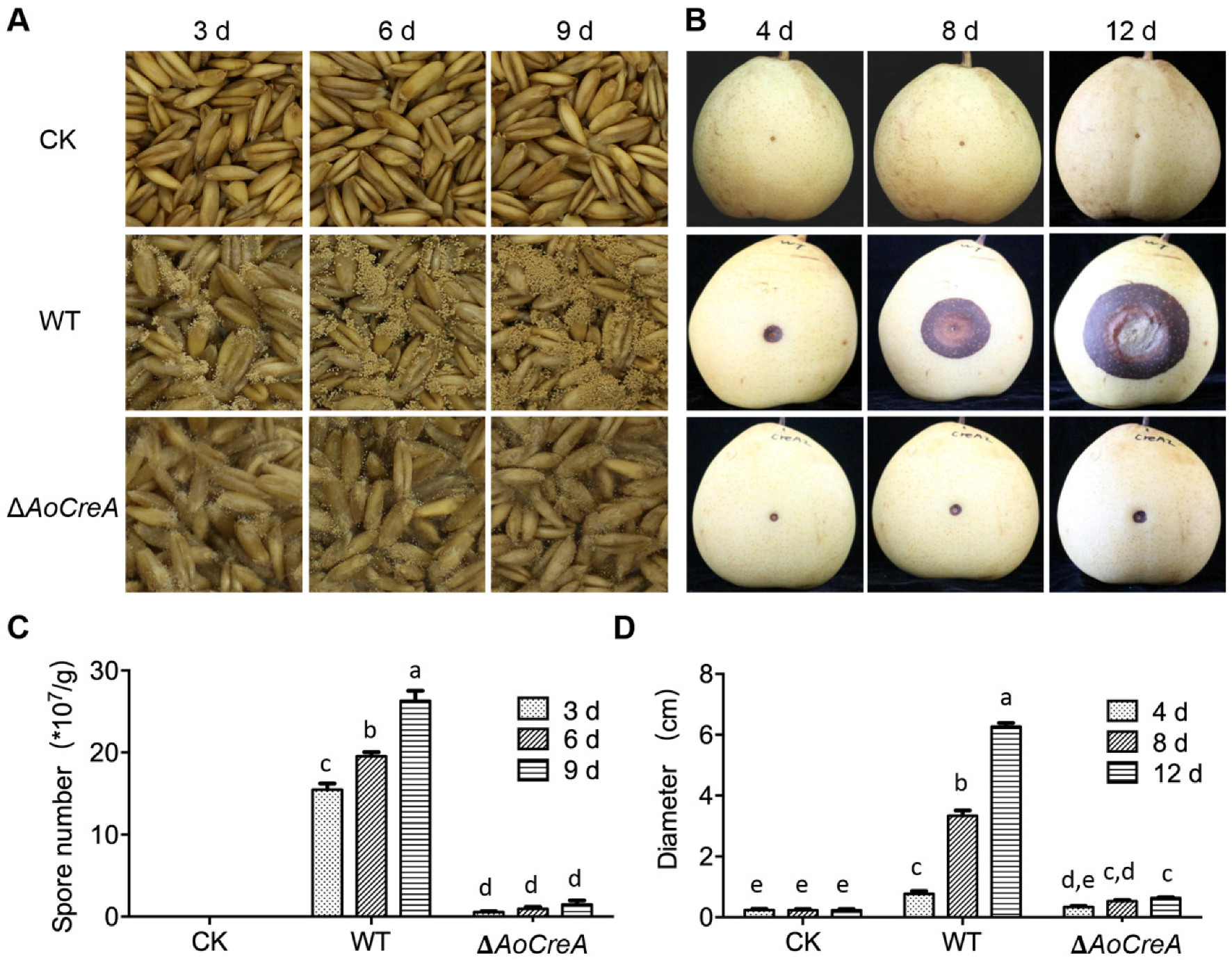 Toxins 12 00697 g006 Toxins 12 00697 g006