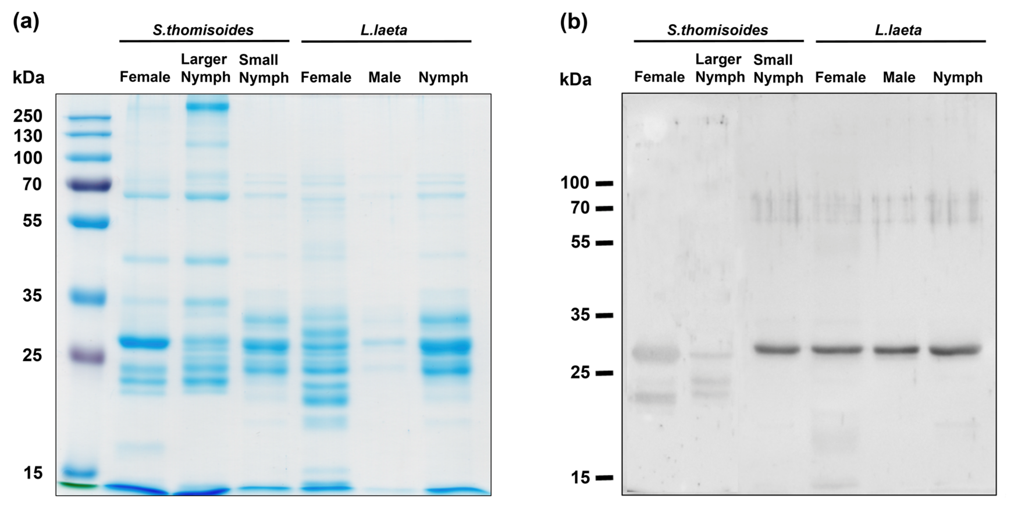 Toxins 12 00702 g003 Toxins 12 00702 g003