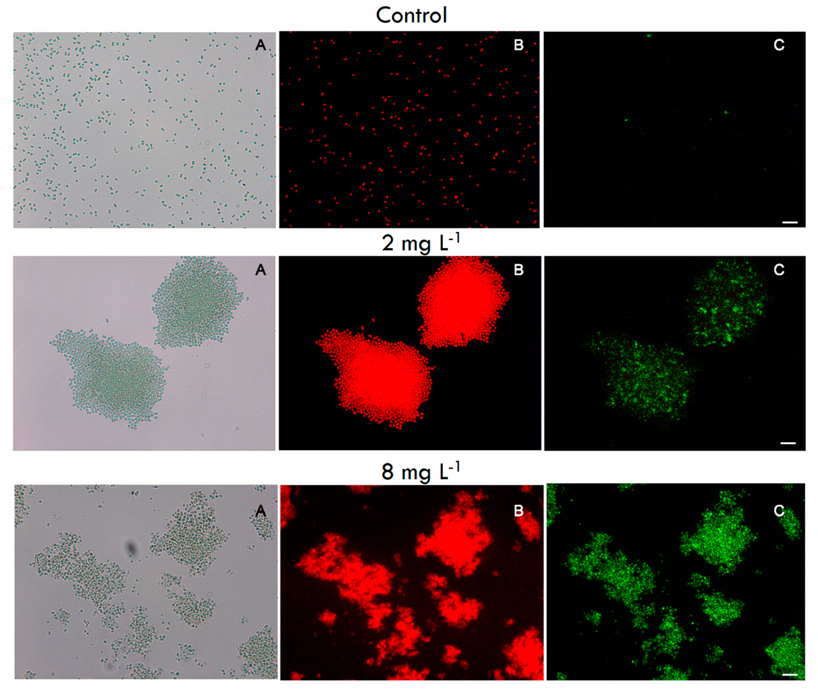 Toxins 12 00711 g004 Toxins 12 00711 g004