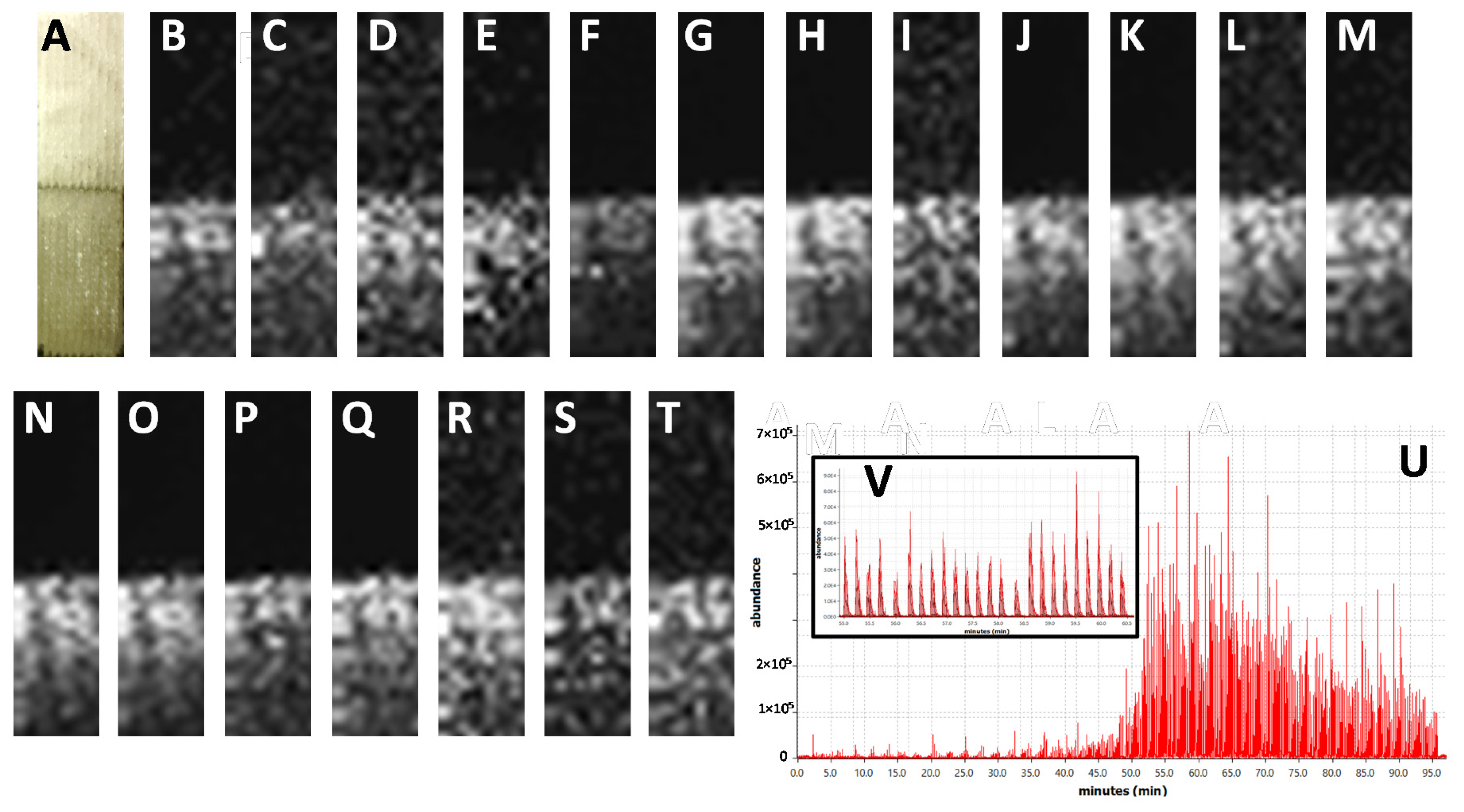 Toxins 12 00720 g001