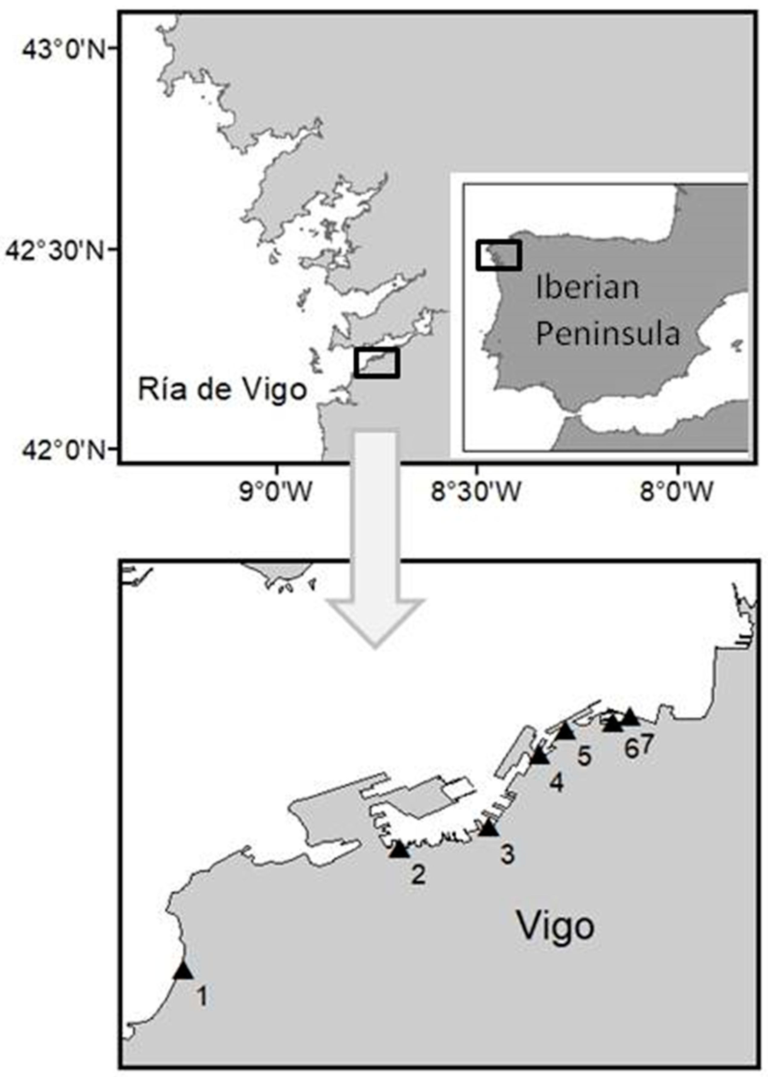 Toxins 12 00723 g001 Toxins 12 00723 g001