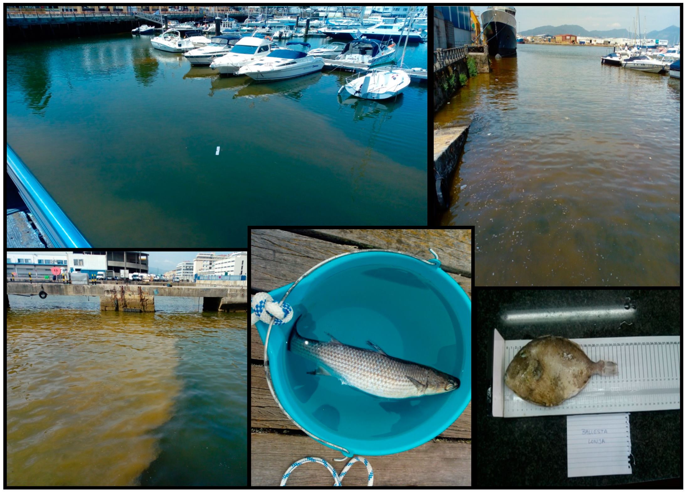 Toxins 12 00723 g003 Toxins 12 00723 g003