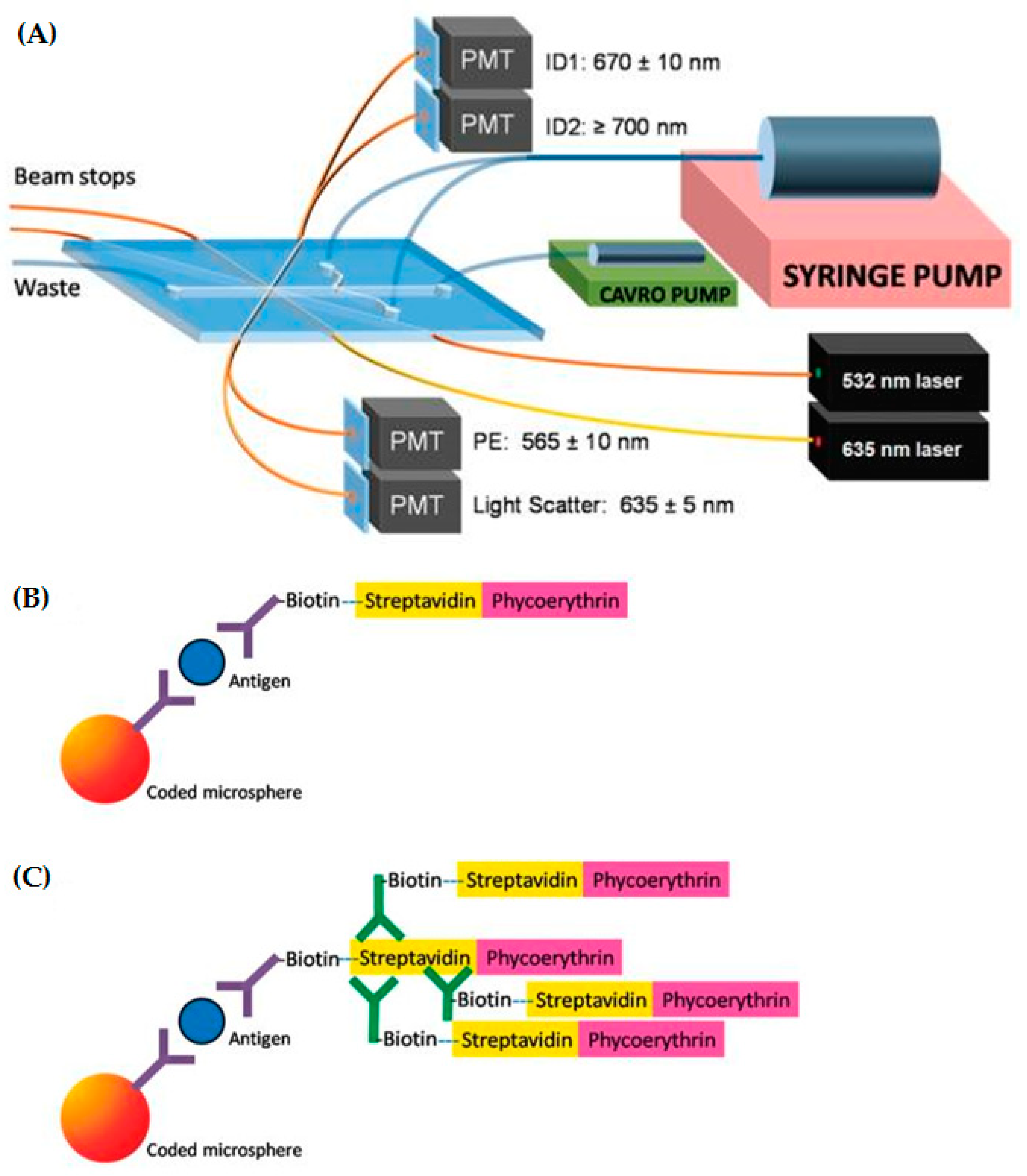 Toxins 12 00727 g004