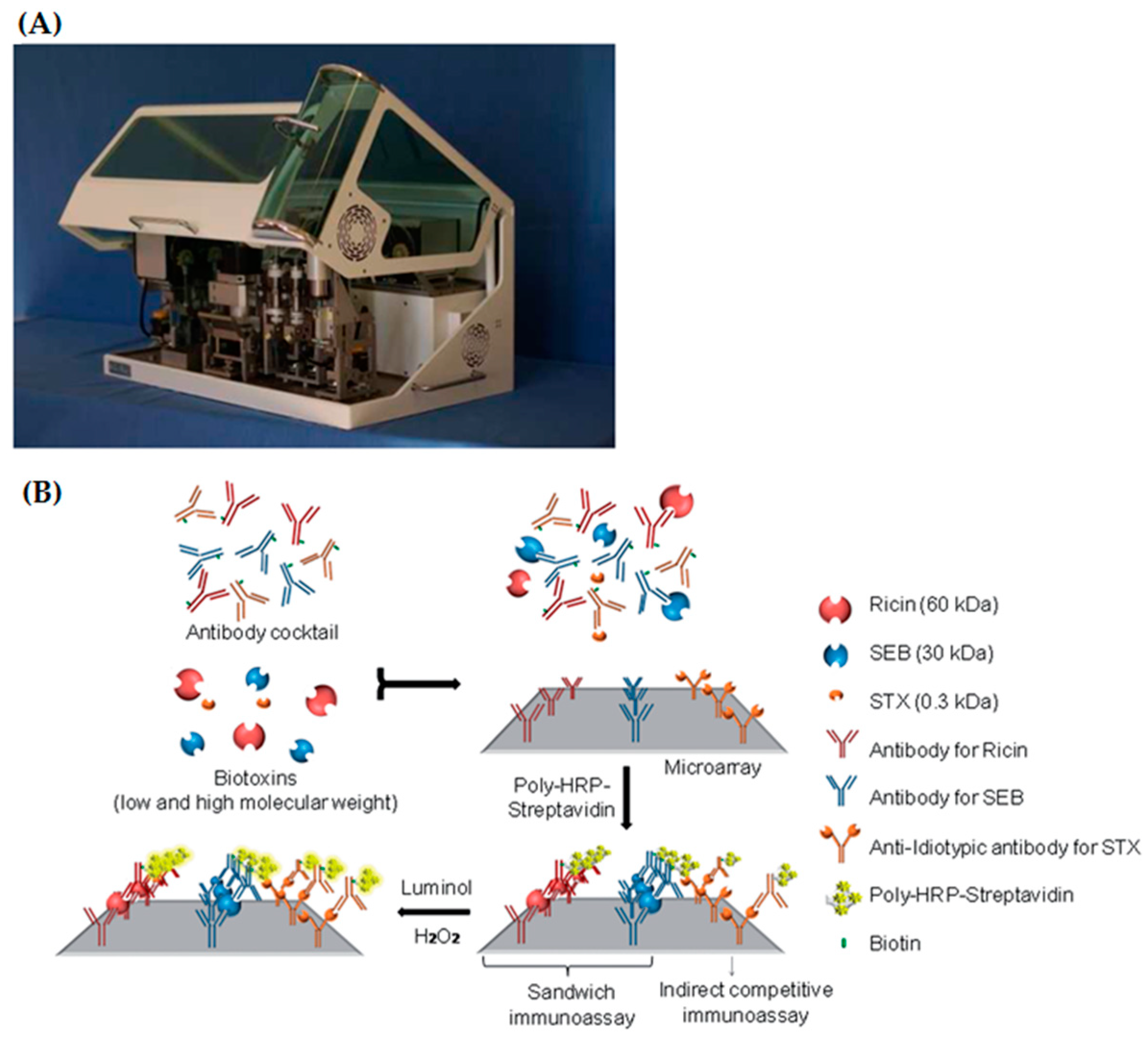 Toxins 12 00727 g005