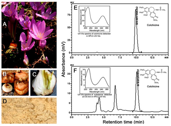 A dio zx af34 af35 Motorcycle parts HONDA DIO / DIO SR / DIO ZX