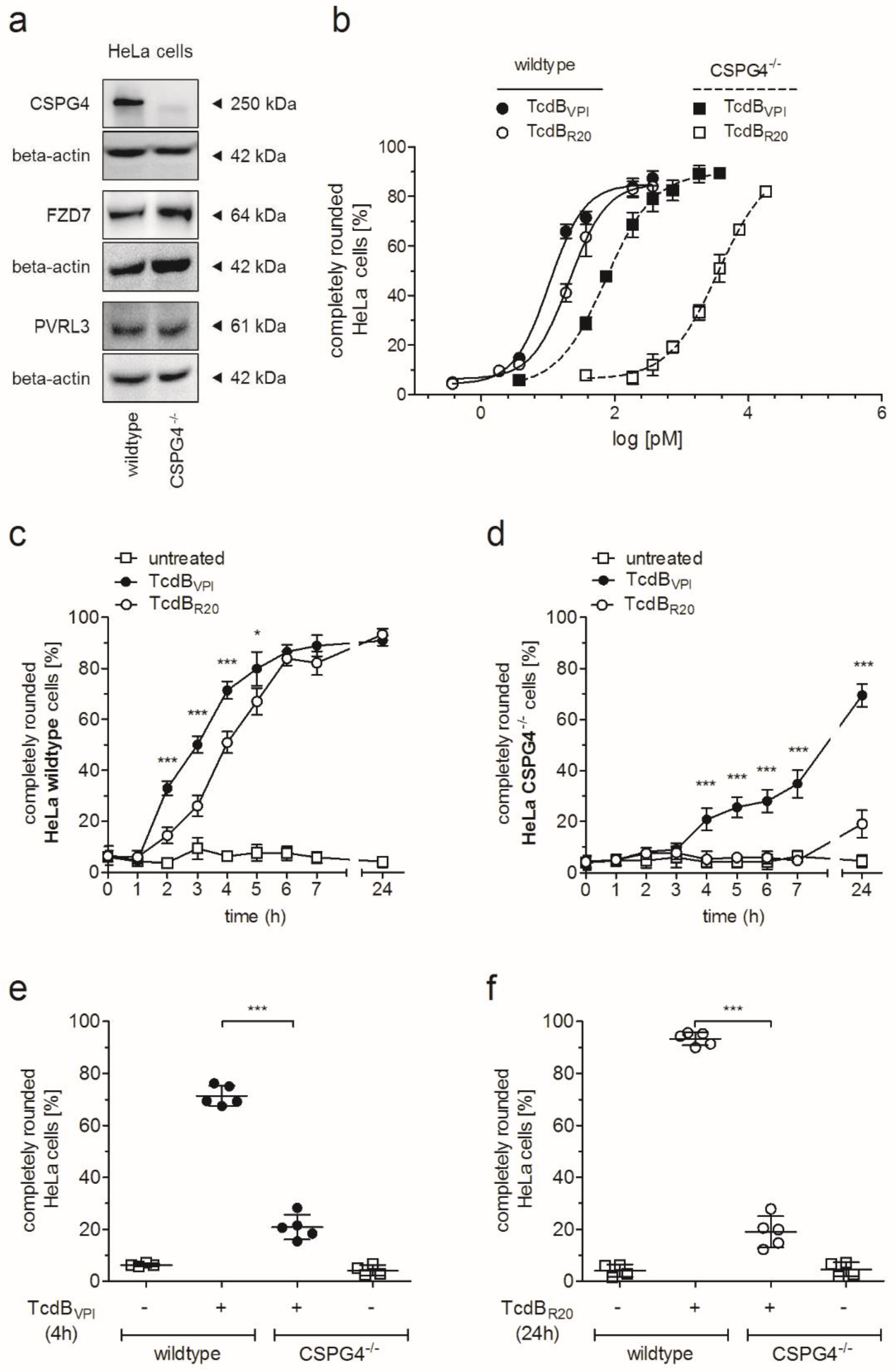Toxins 12 00736 g001