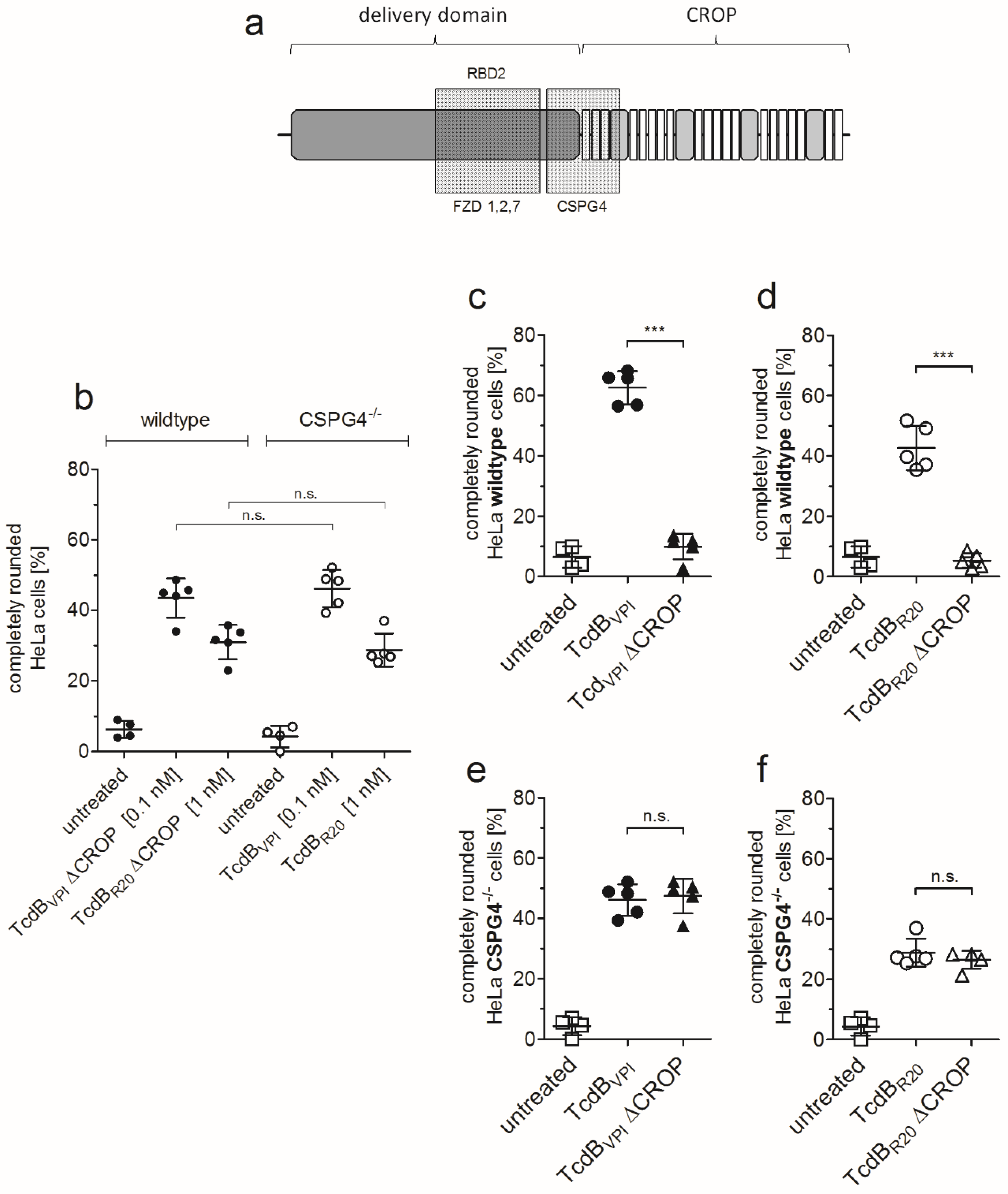 Toxins 12 00736 g002