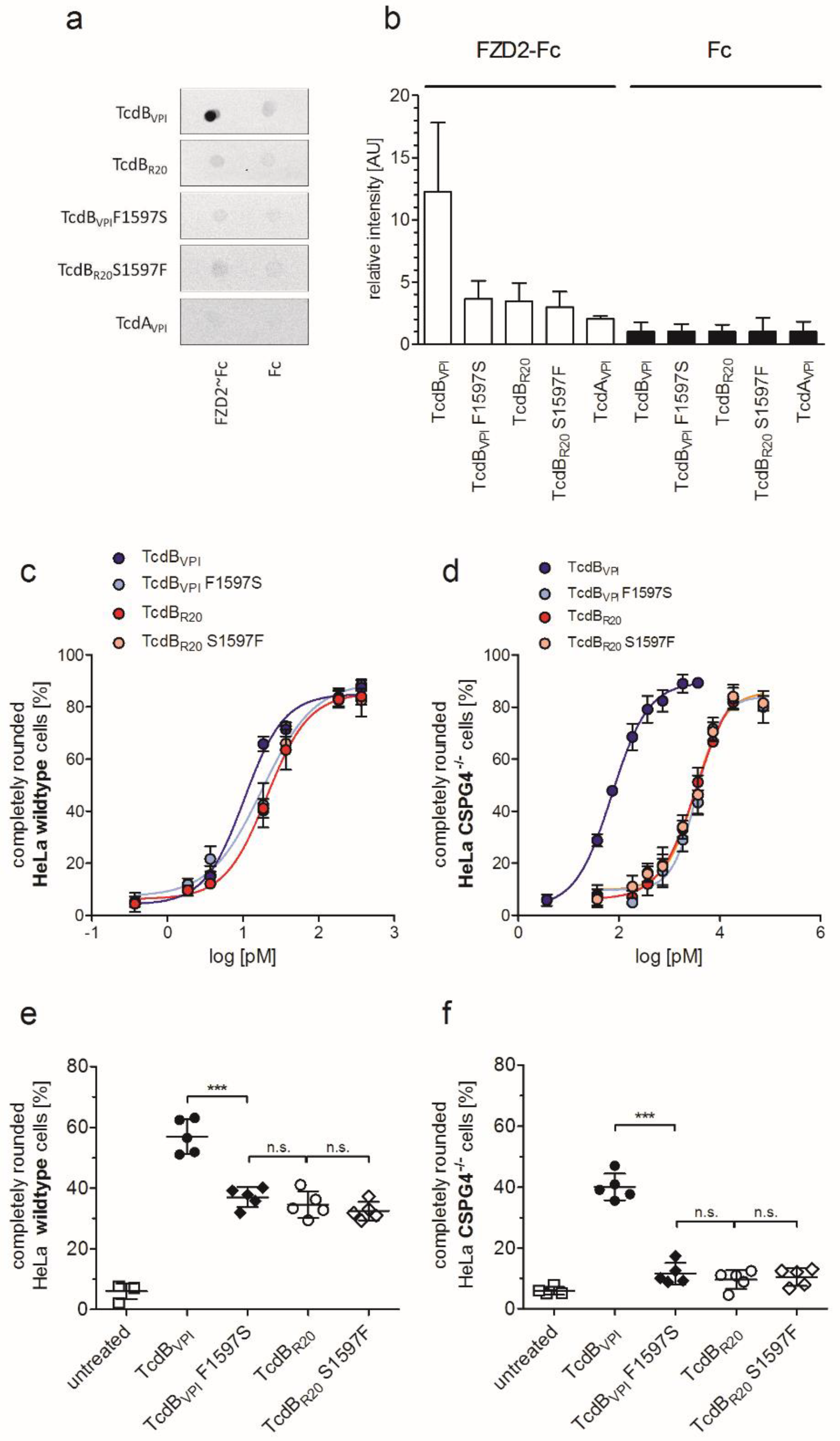 Toxins 12 00736 g004