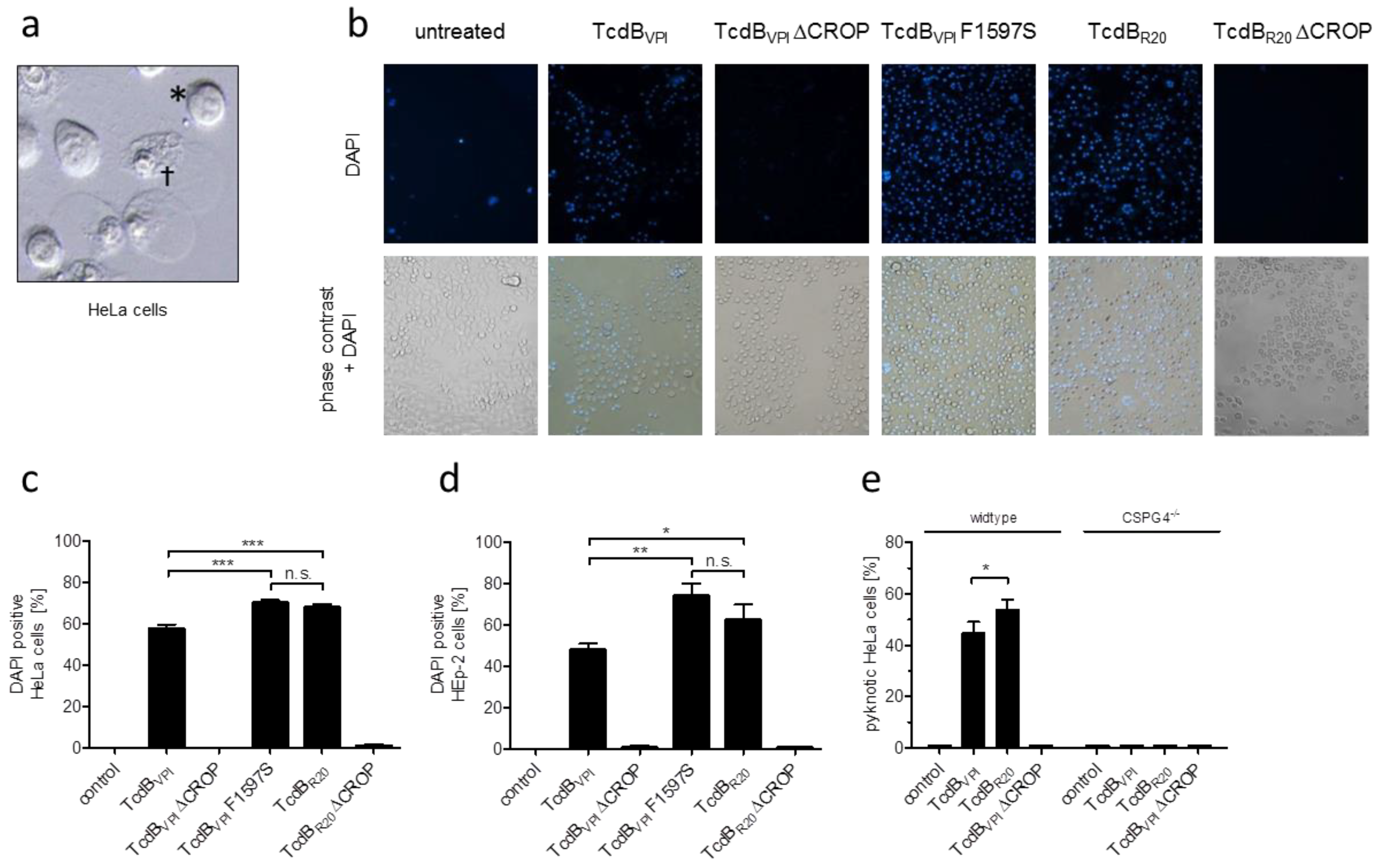 Toxins 12 00736 g005