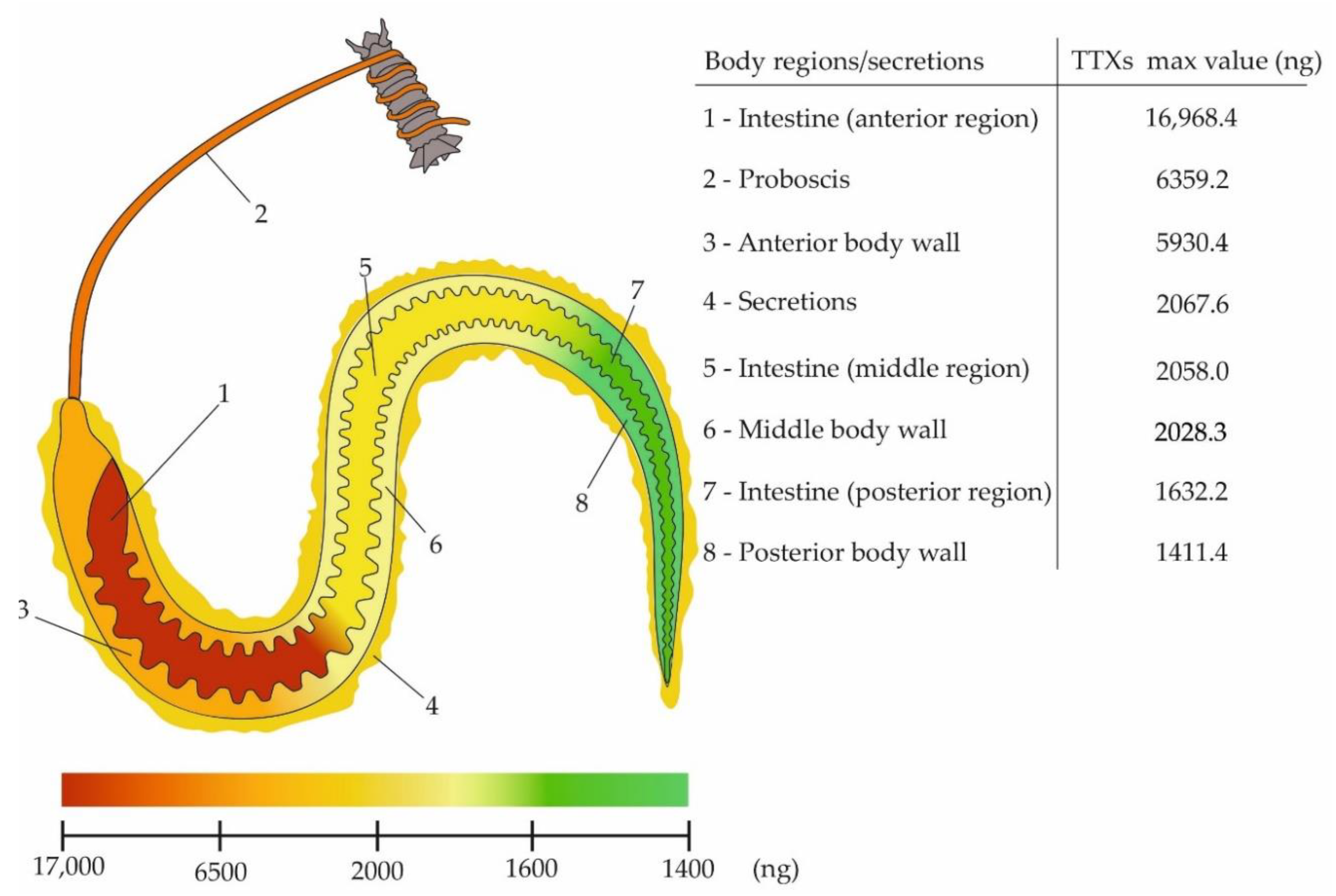 Toxins 12 00745 g003 Toxins 12 00745 g003