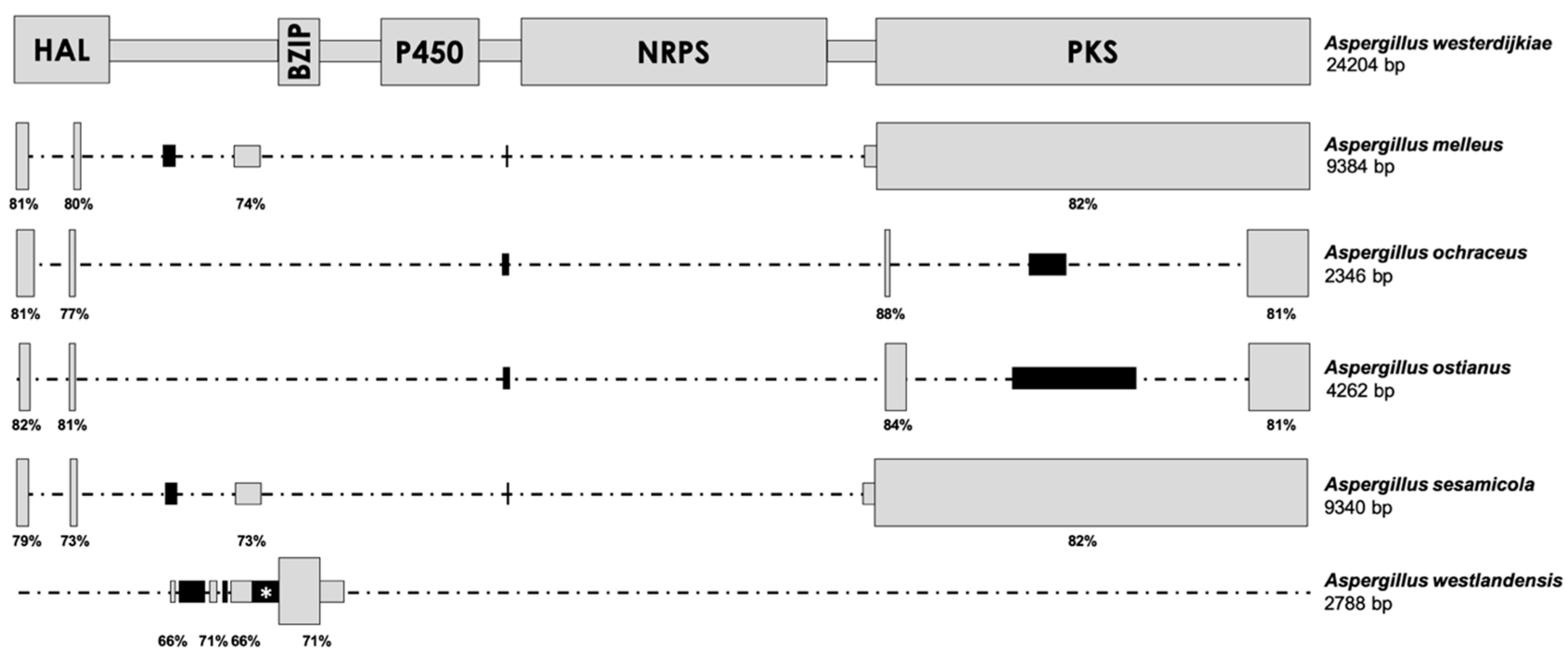Toxins 12 00754 g001