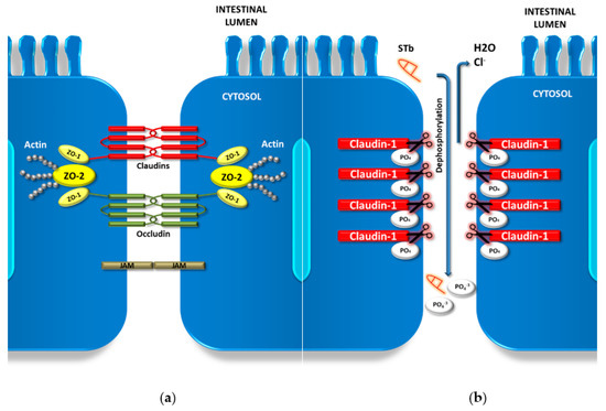 Toxins 12 00760 g003 550