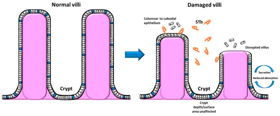 Toxins 12 00760 g004 550