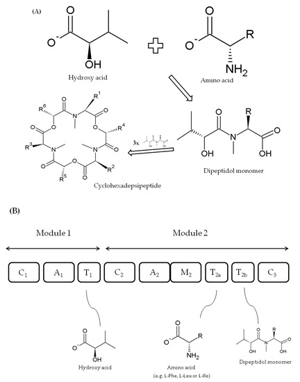 Toxins 12 00765 g004 550