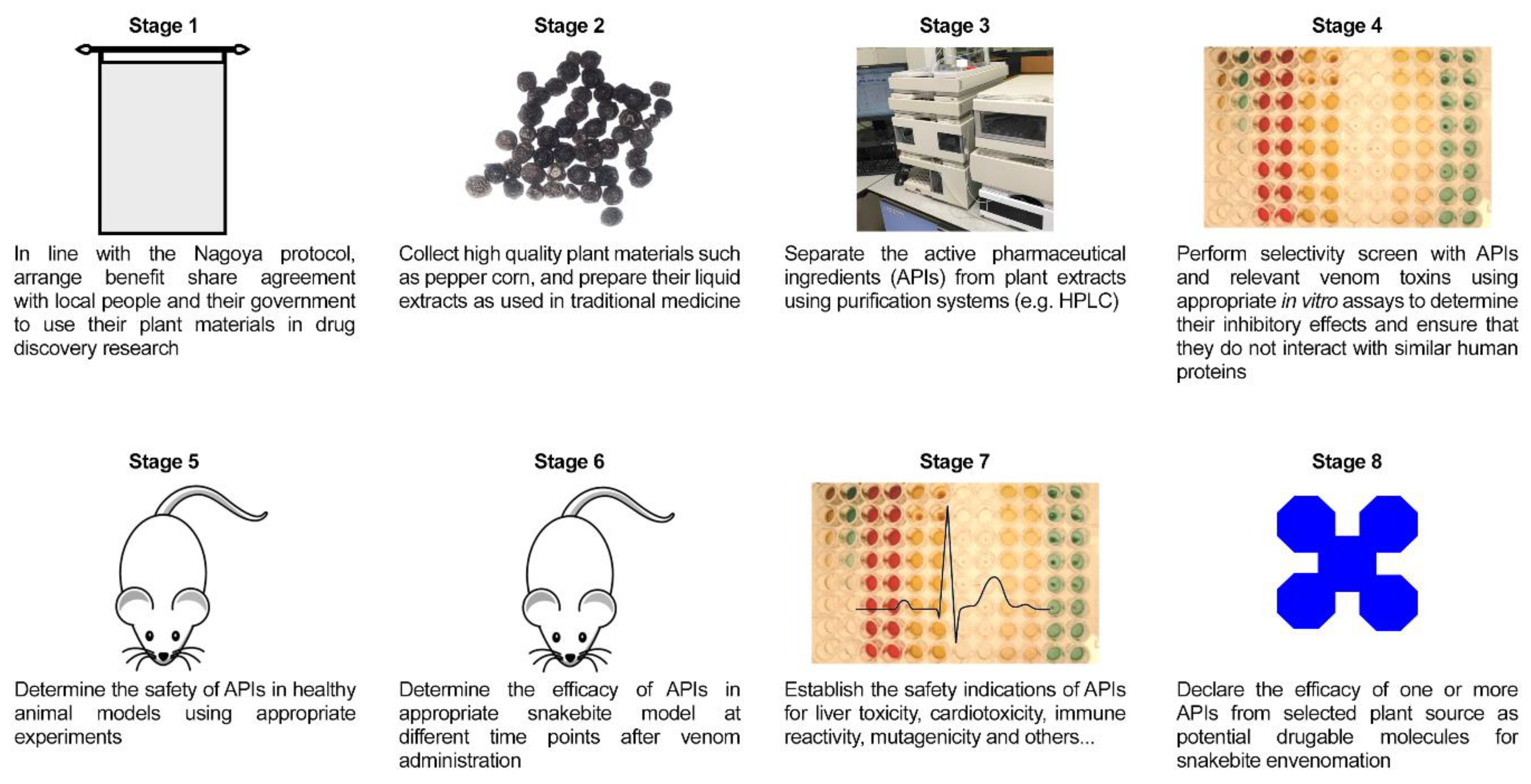 Toxins 12 00774 g001 Toxins 12 00774 g001