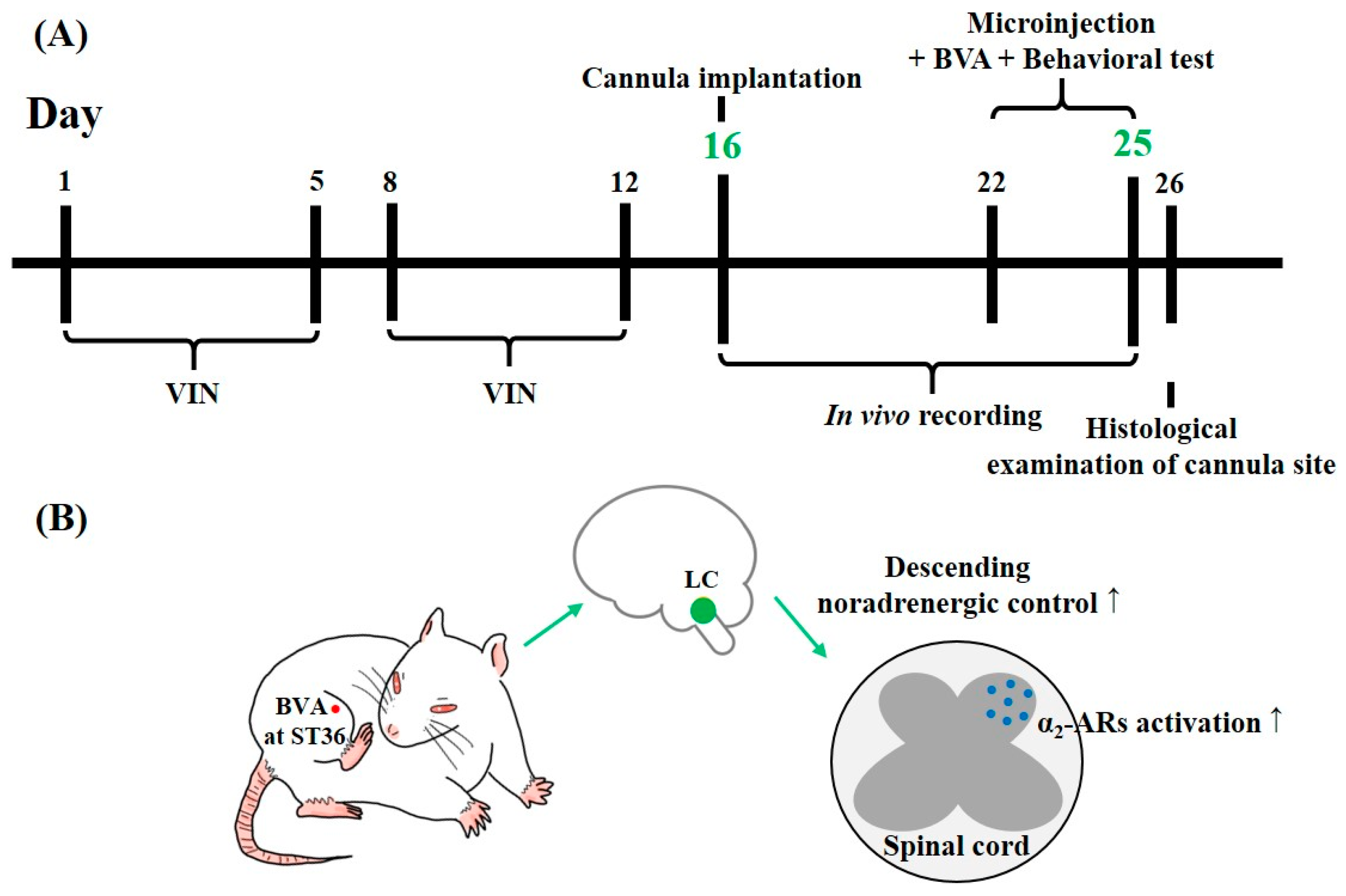 Toxins 12 00775 g007