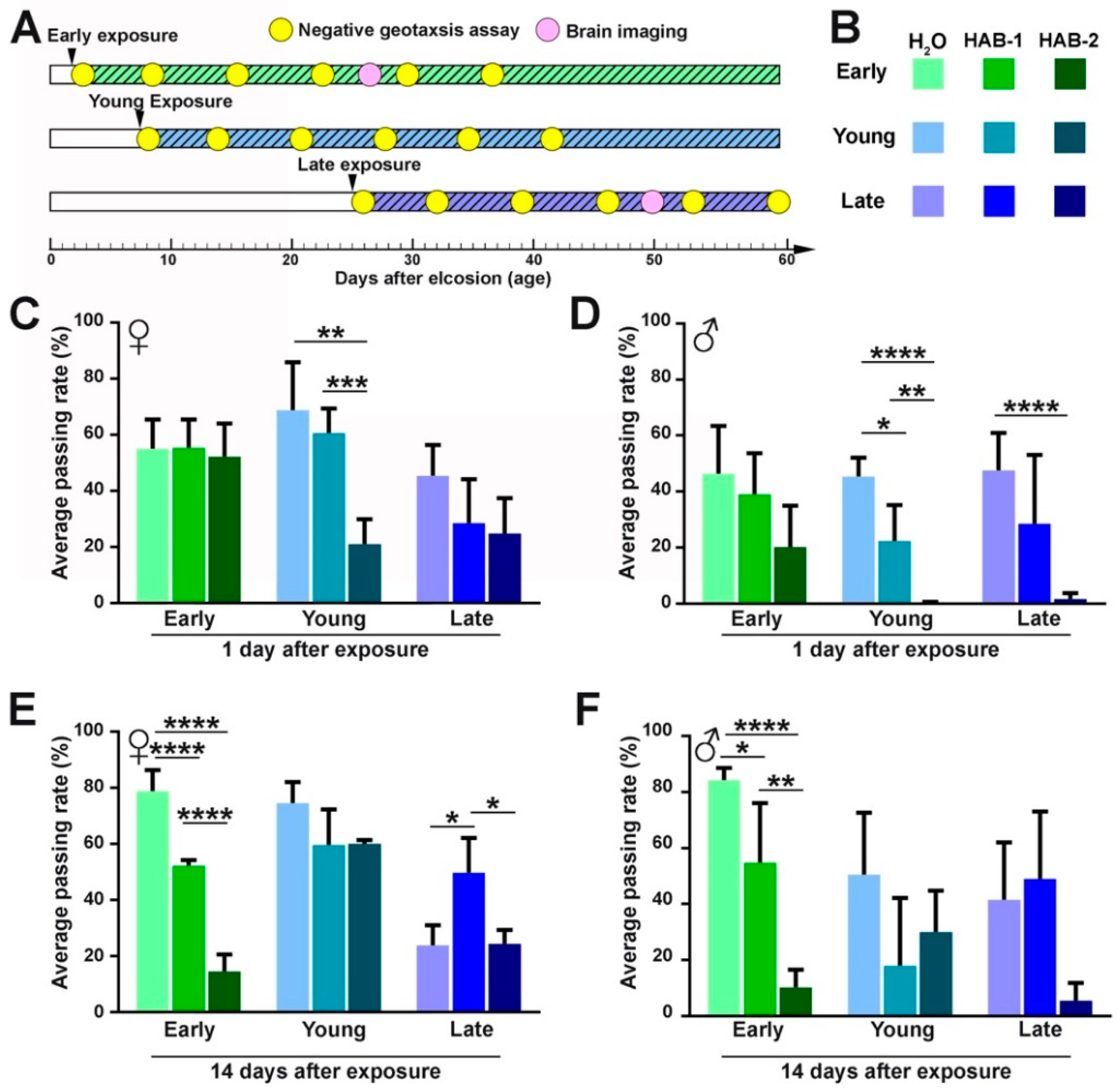 Toxins 12 00787 g001