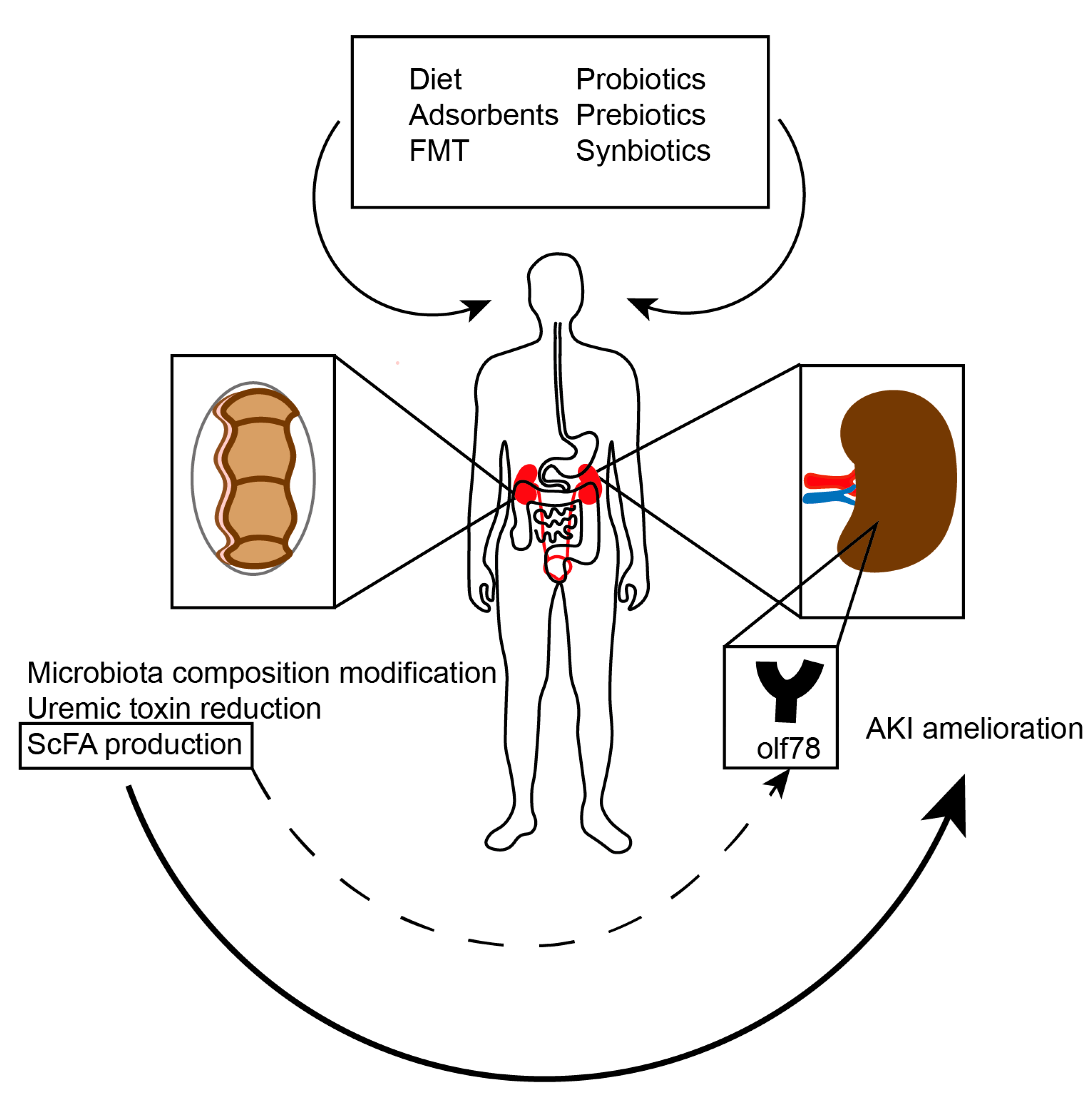 Toxins 12 00788 g003