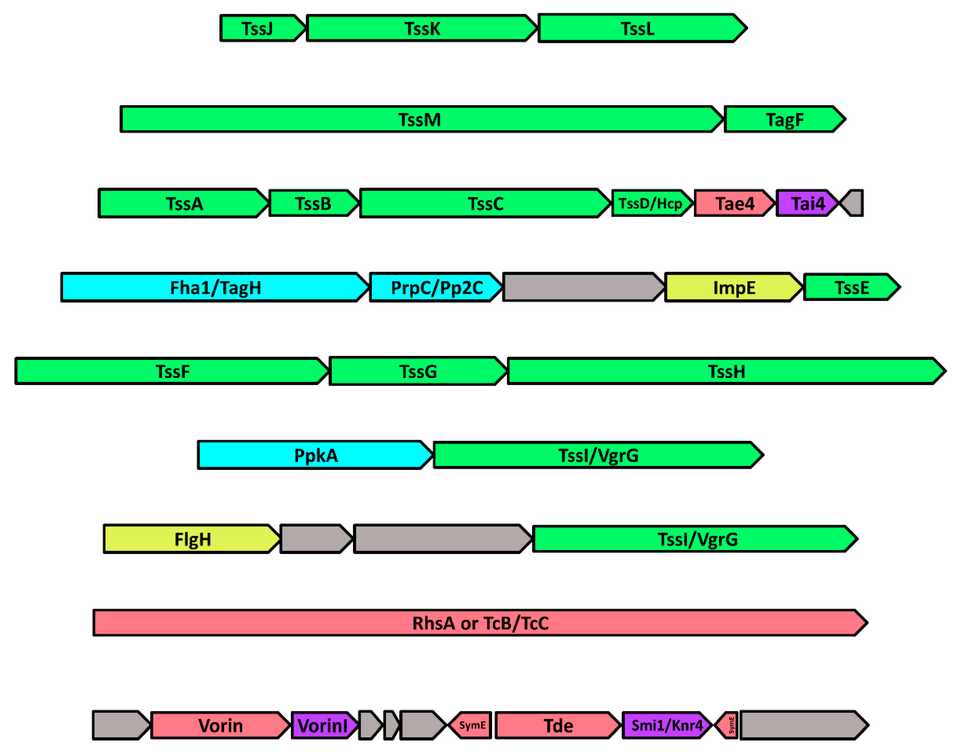 Toxins 12 00792 g004