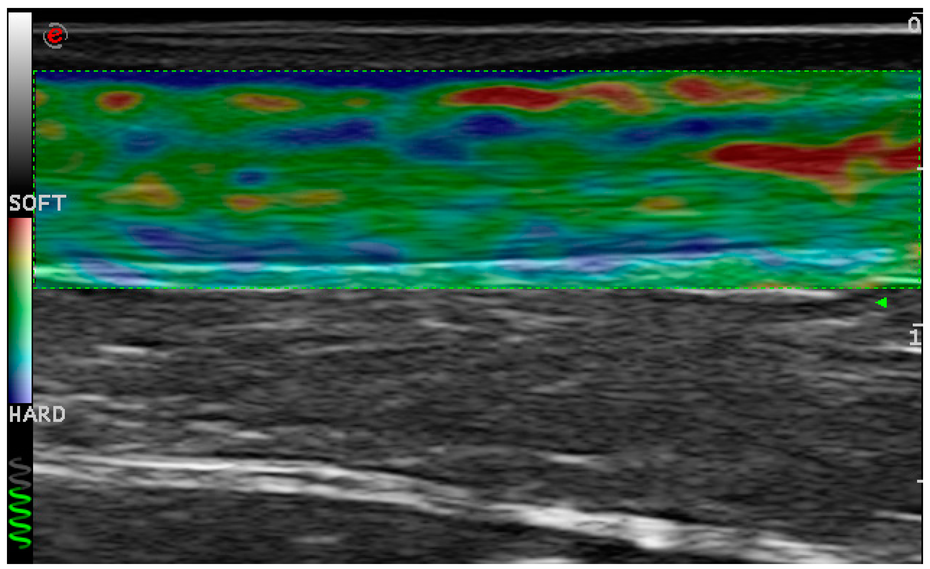 Toxins 12 00797 g001 Toxins 12 00797 g001