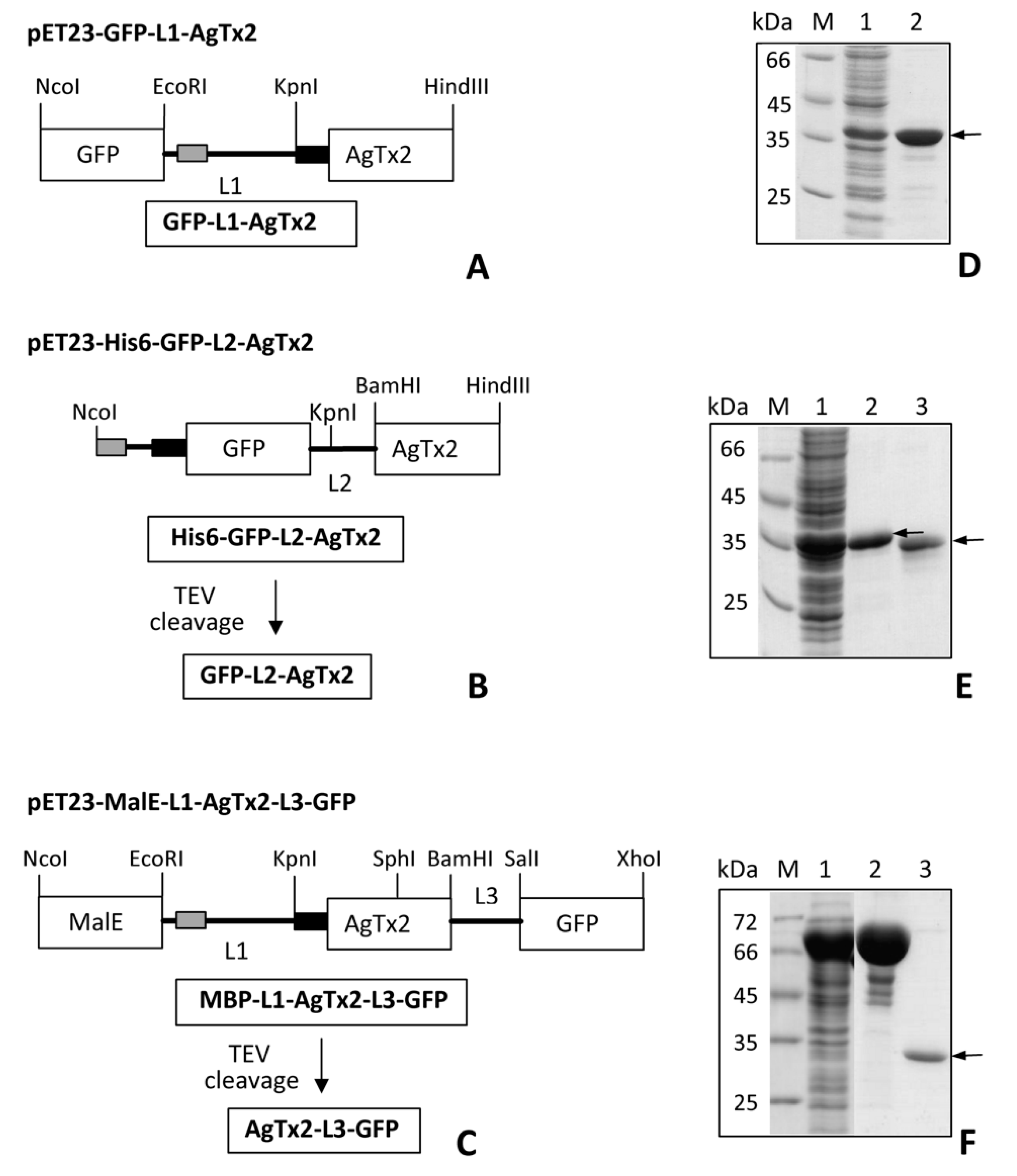 Toxins 12 00802 g001