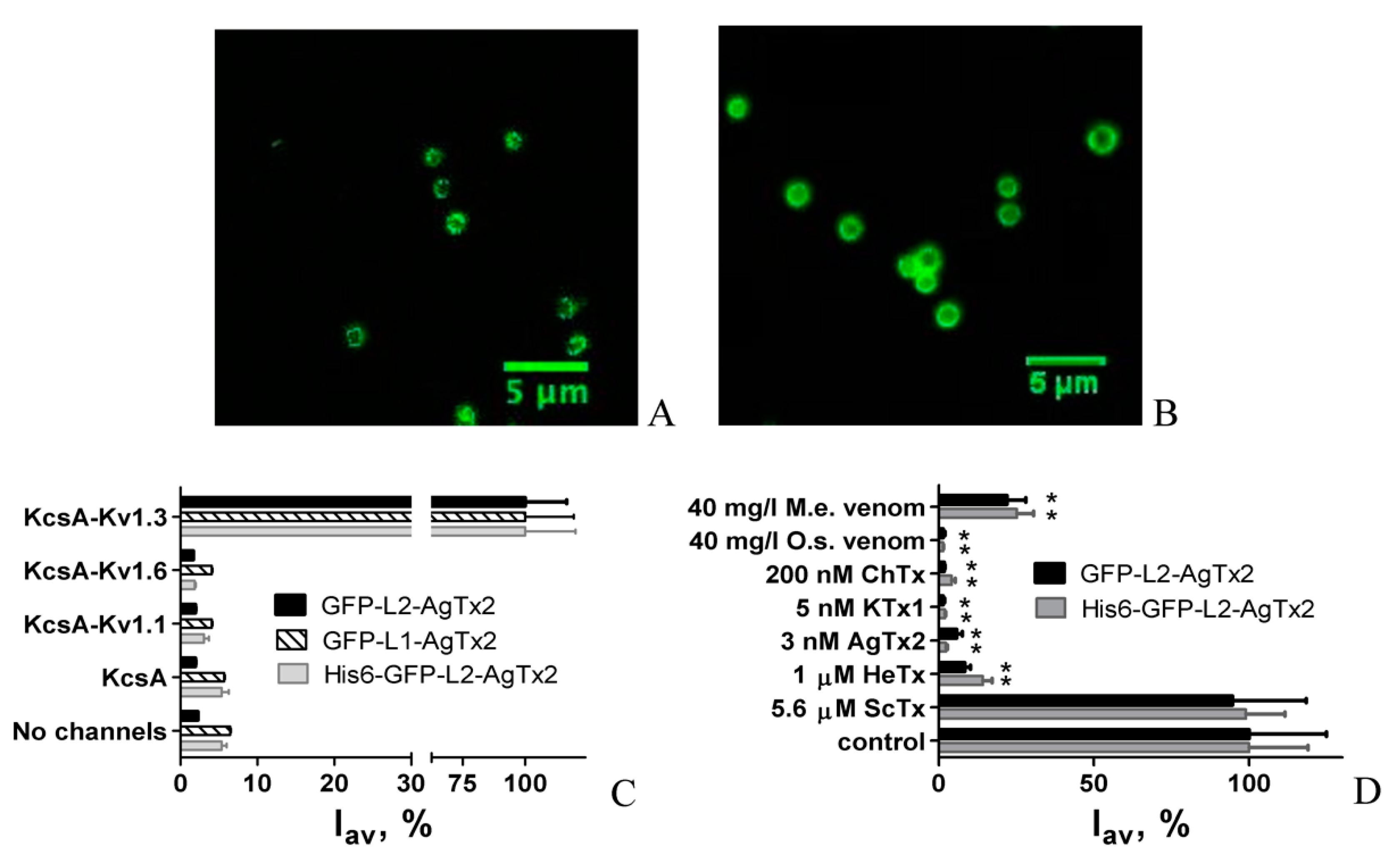 Toxins 12 00802 g002