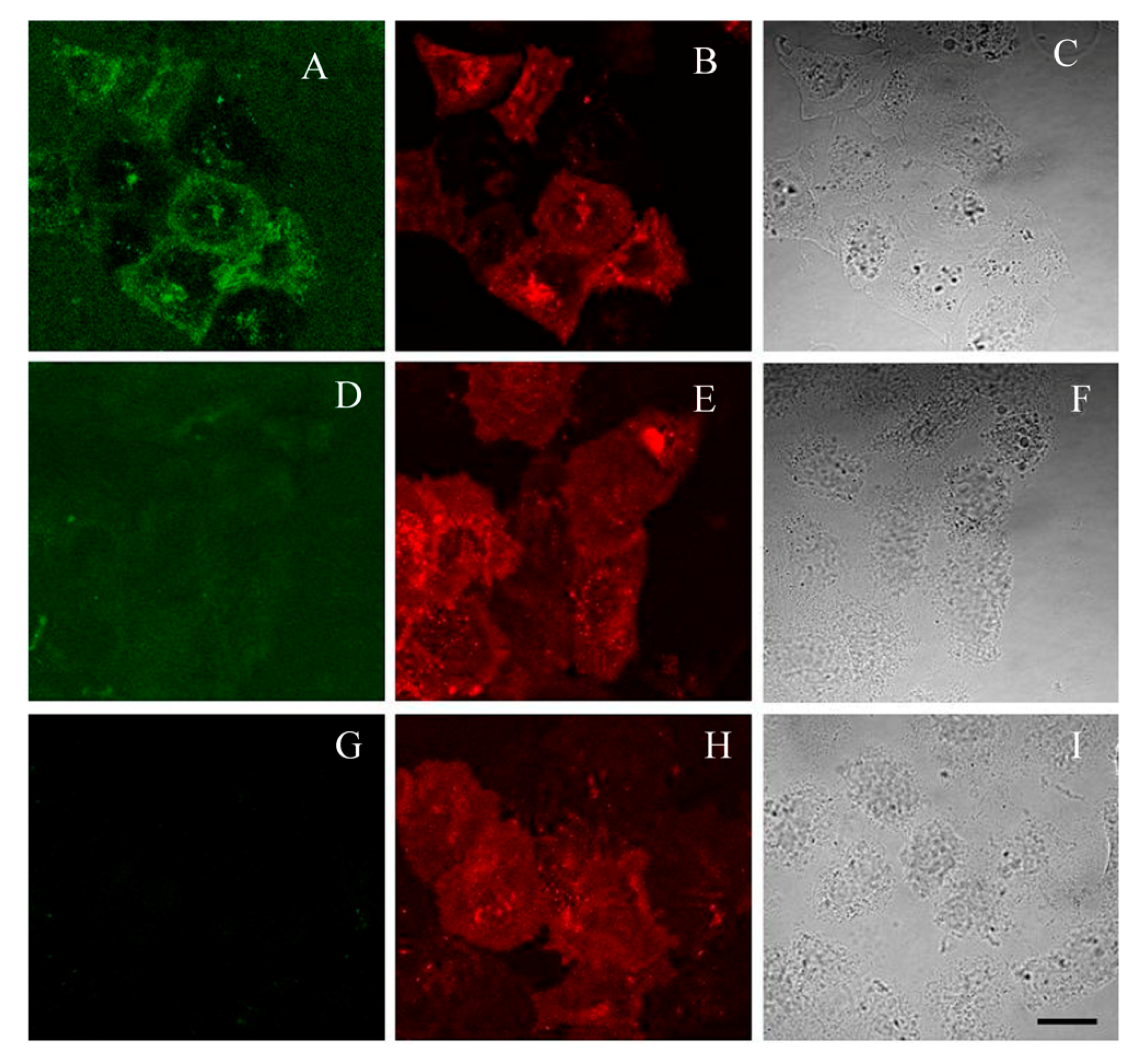 Toxins 12 00802 g005