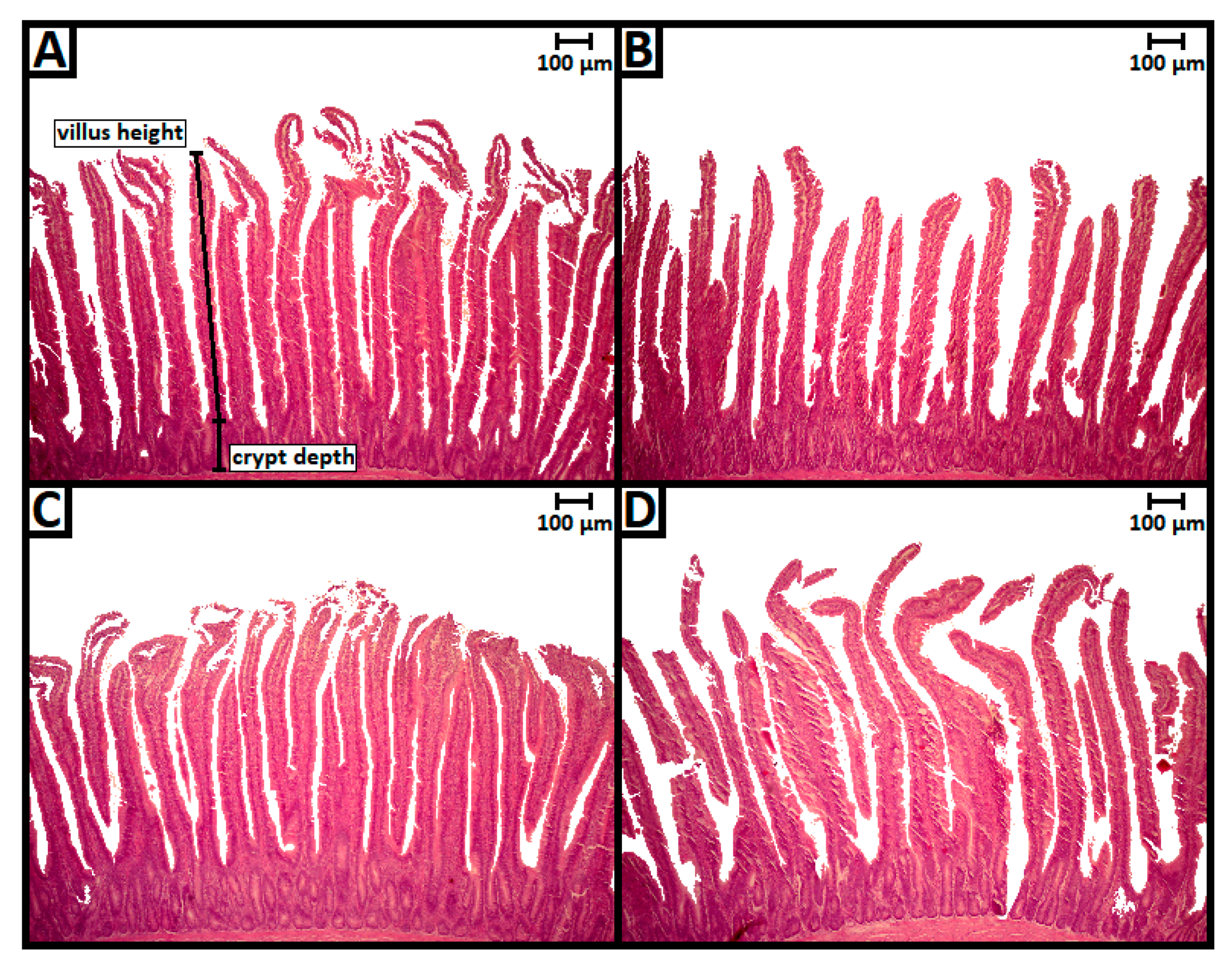 Toxins 13 00005 g001 Toxins 13 00005 g001