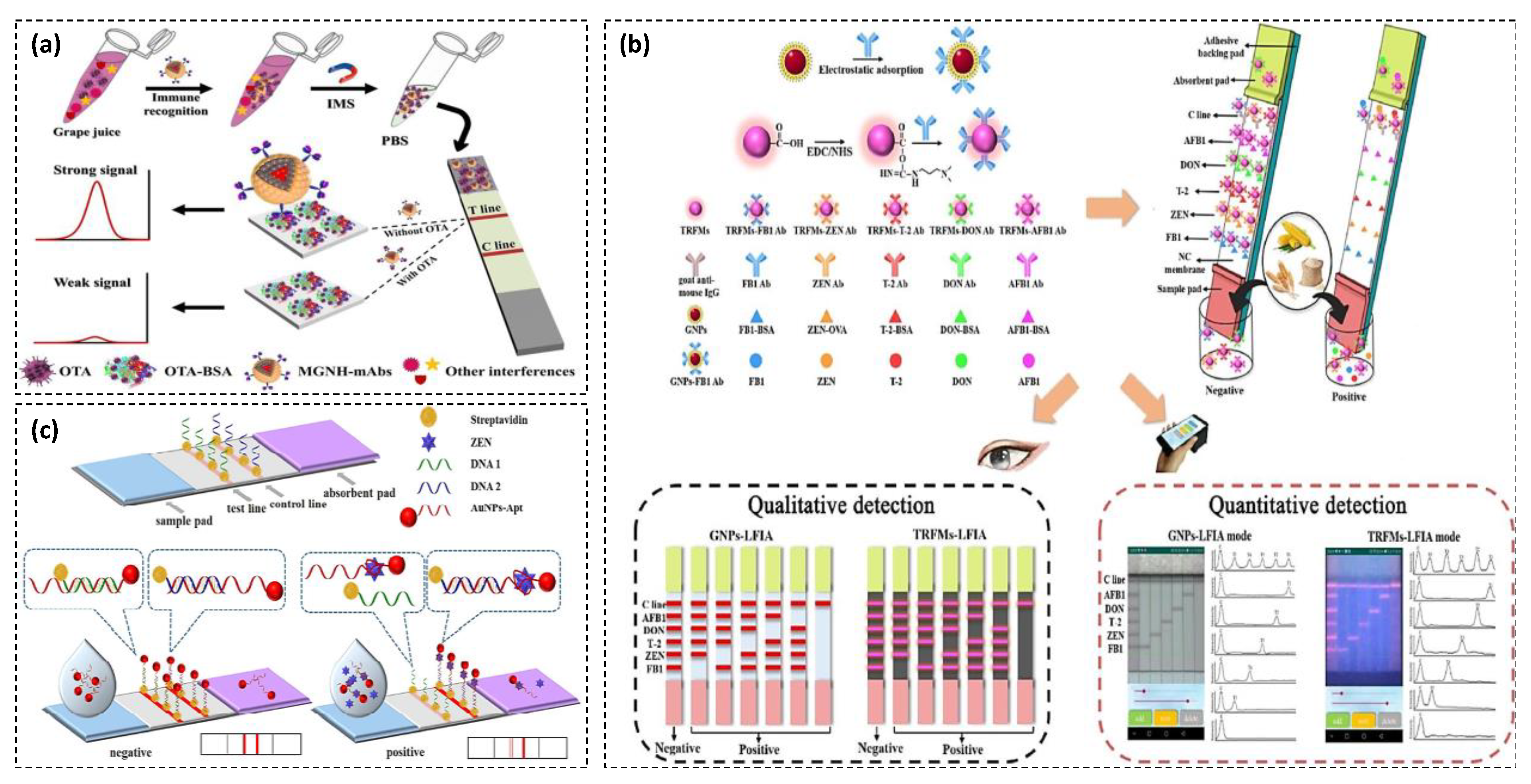 Toxins 13 00013 g005