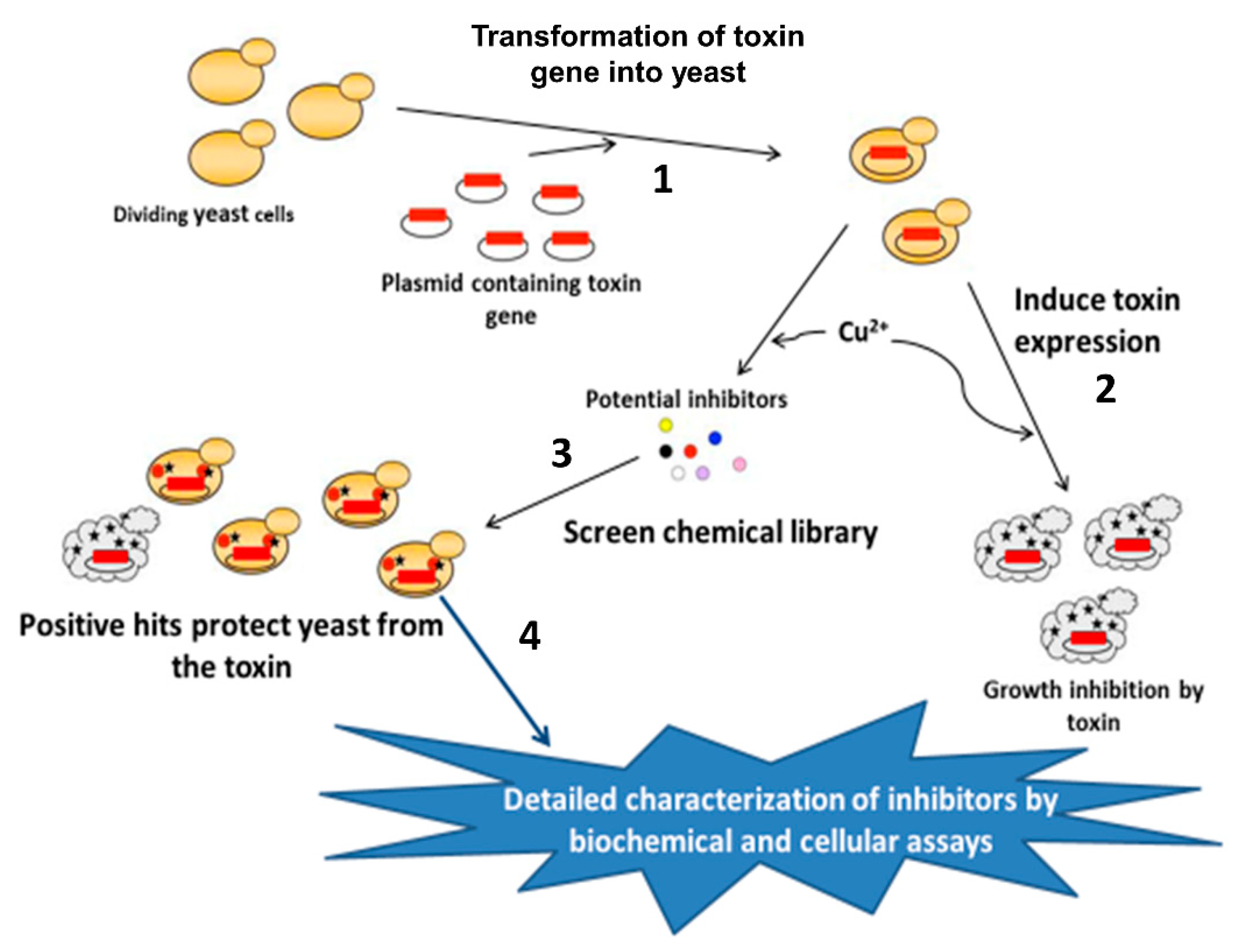 Toxins 13 00016 g001