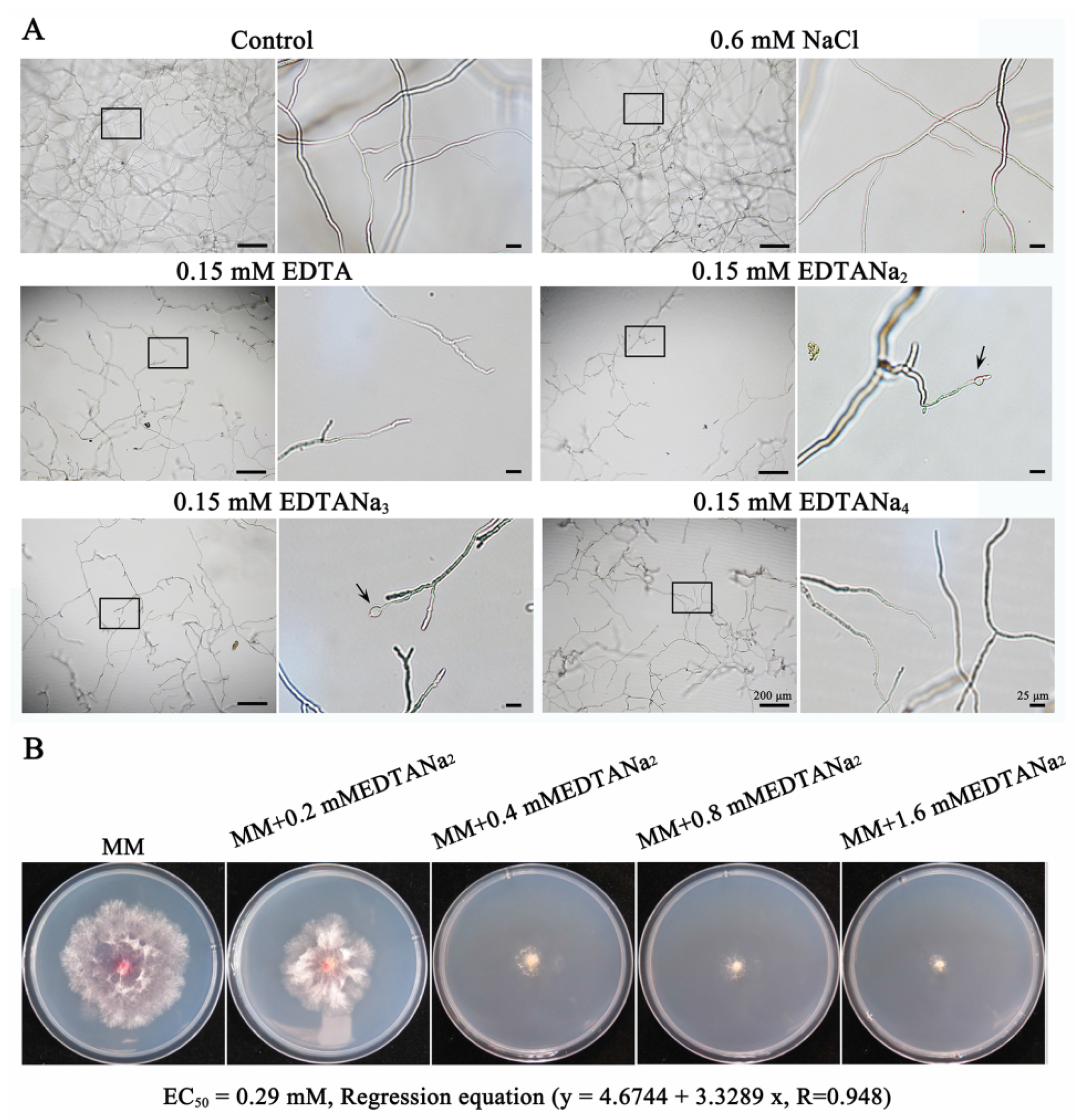 Toxins 13 00017 g001 Toxins 13 00017 g001
