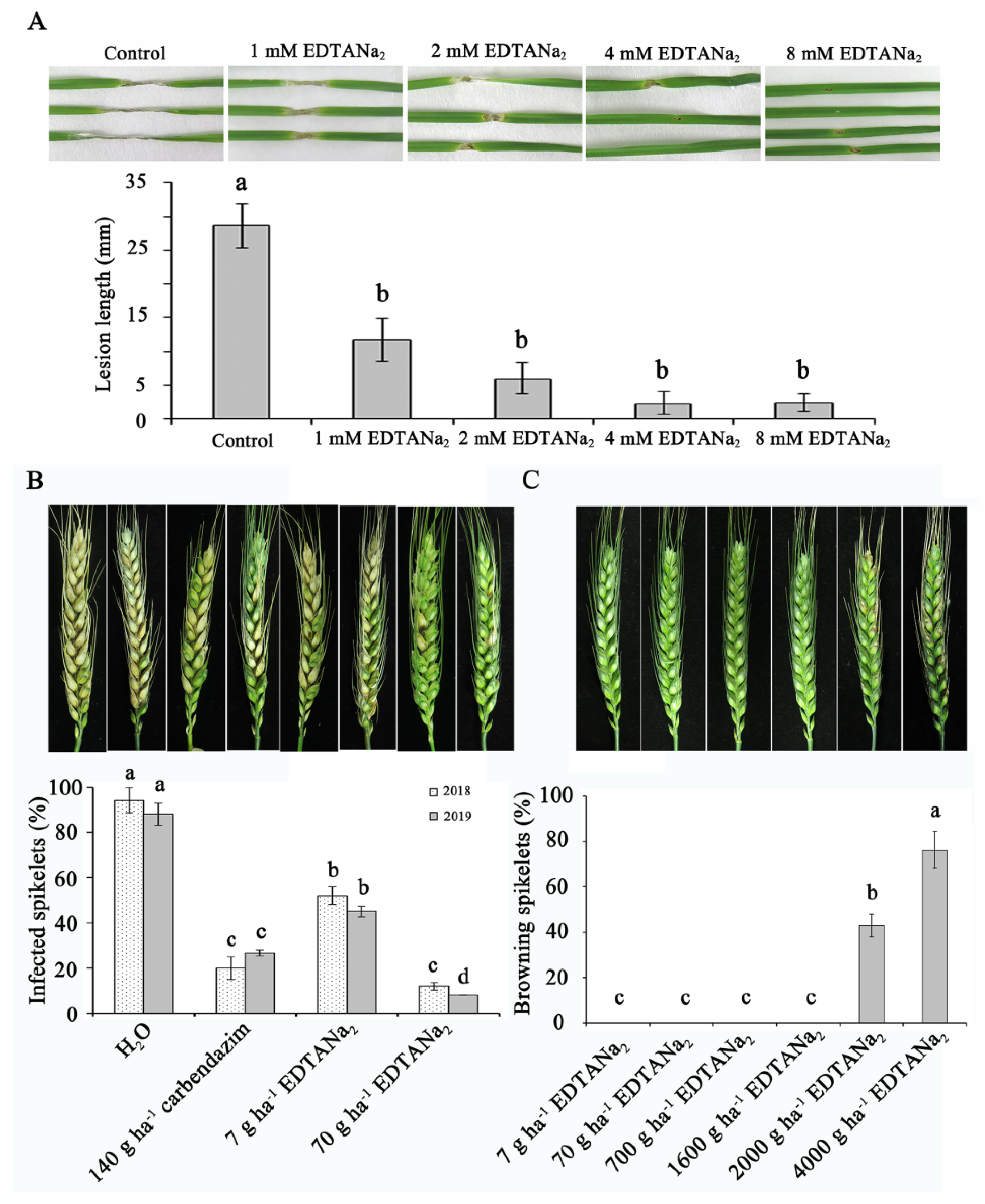 Toxins 13 00017 g002 Toxins 13 00017 g002