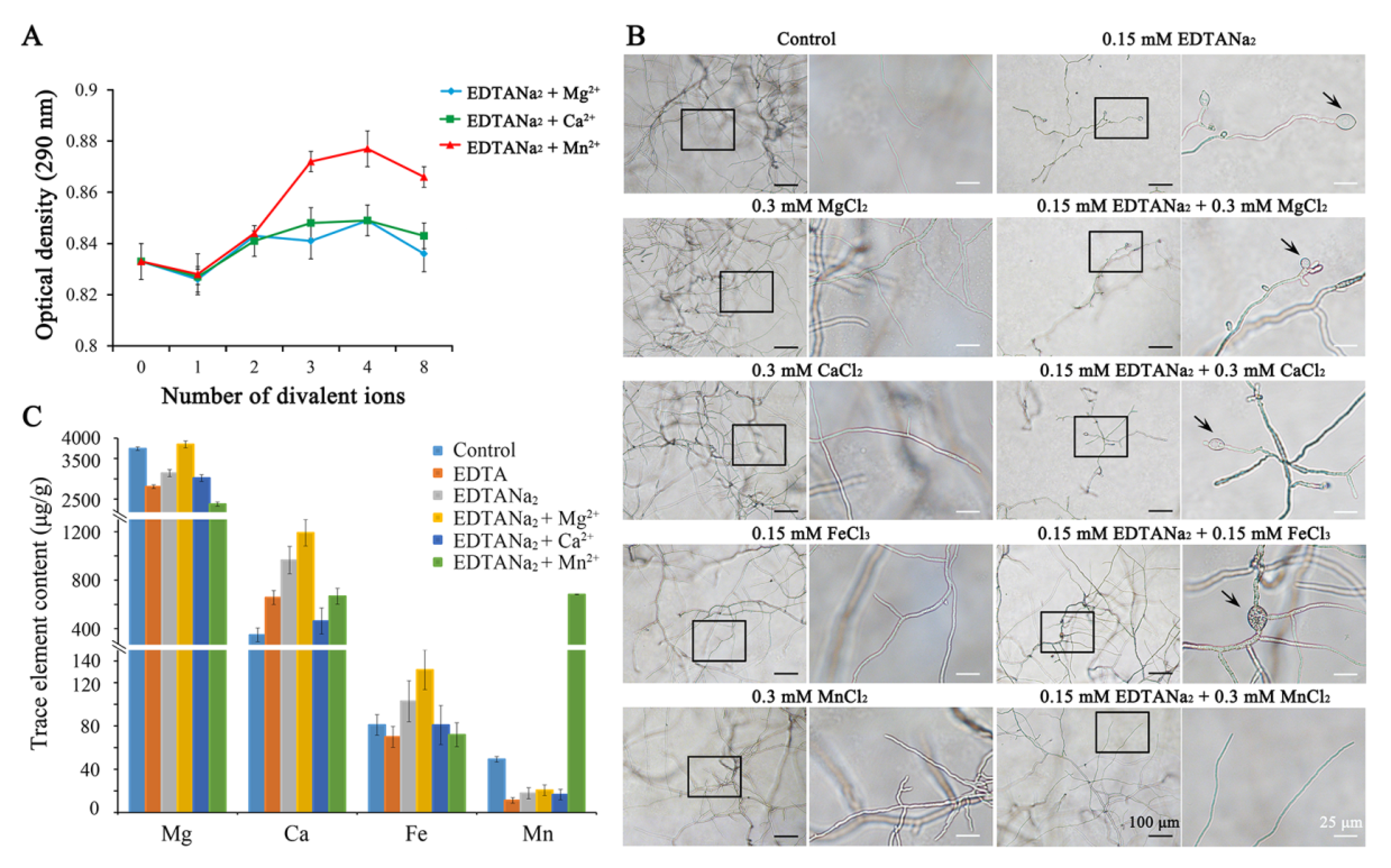 Toxins 13 00017 g005 Toxins 13 00017 g005