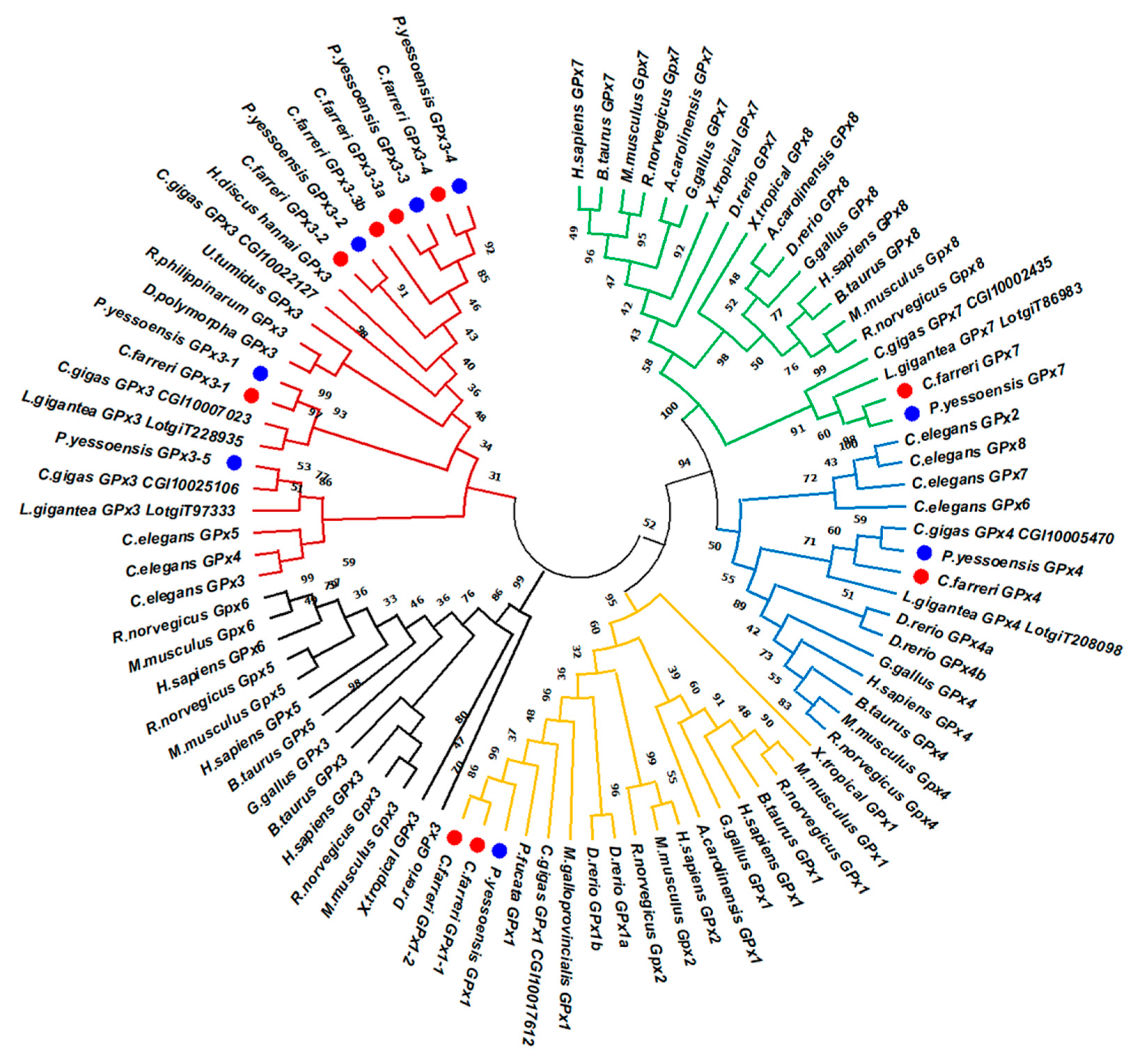 Toxins 13 00021 g002 Toxins 13 00021 g002