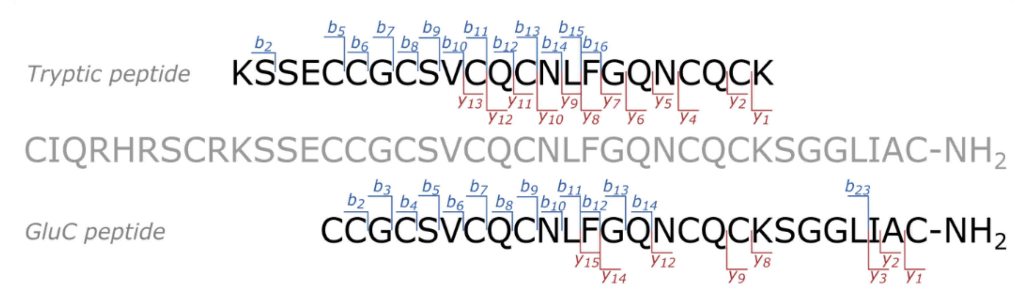 Toxins 13 00029 g002