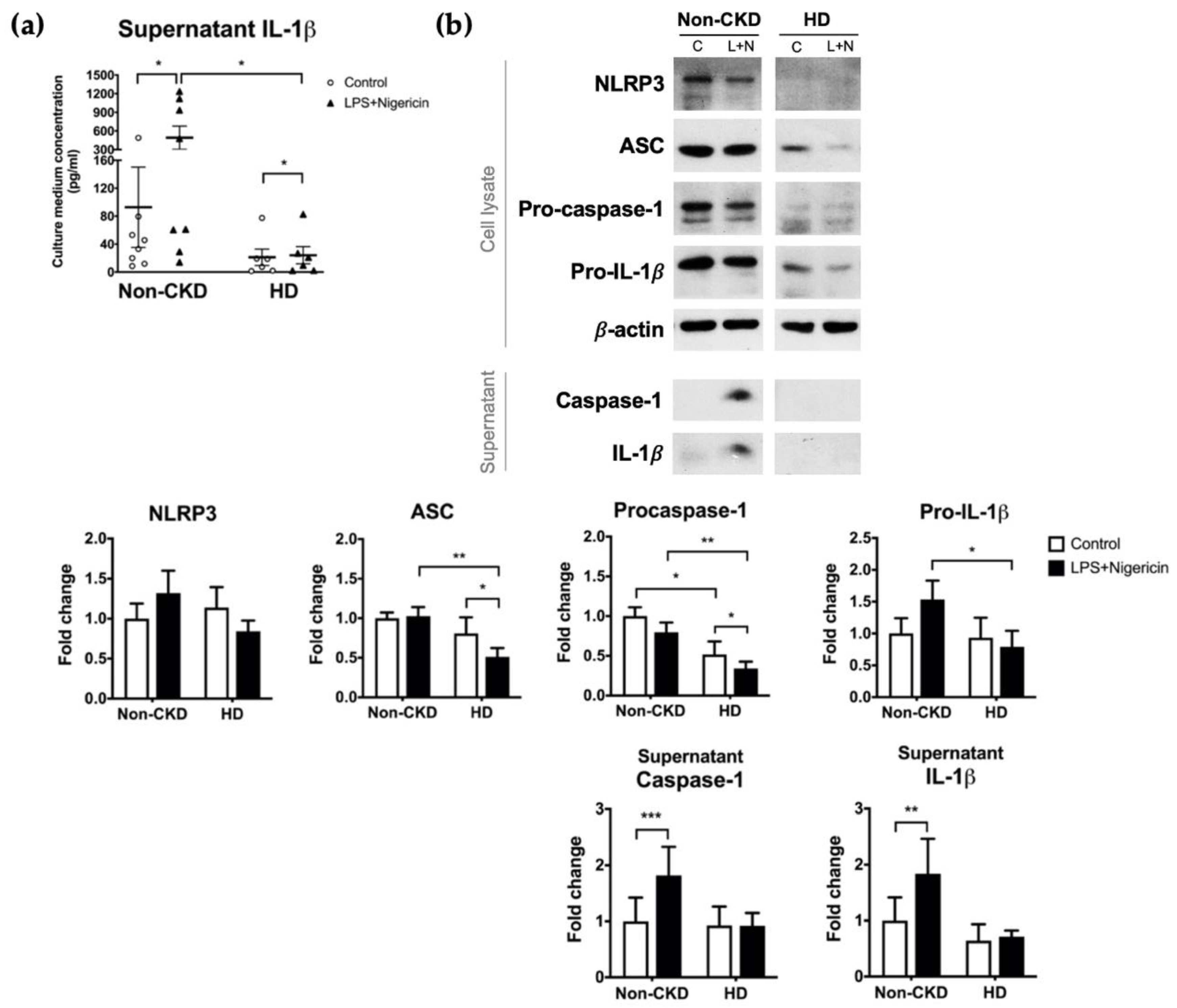 Toxins 13 00038 g002