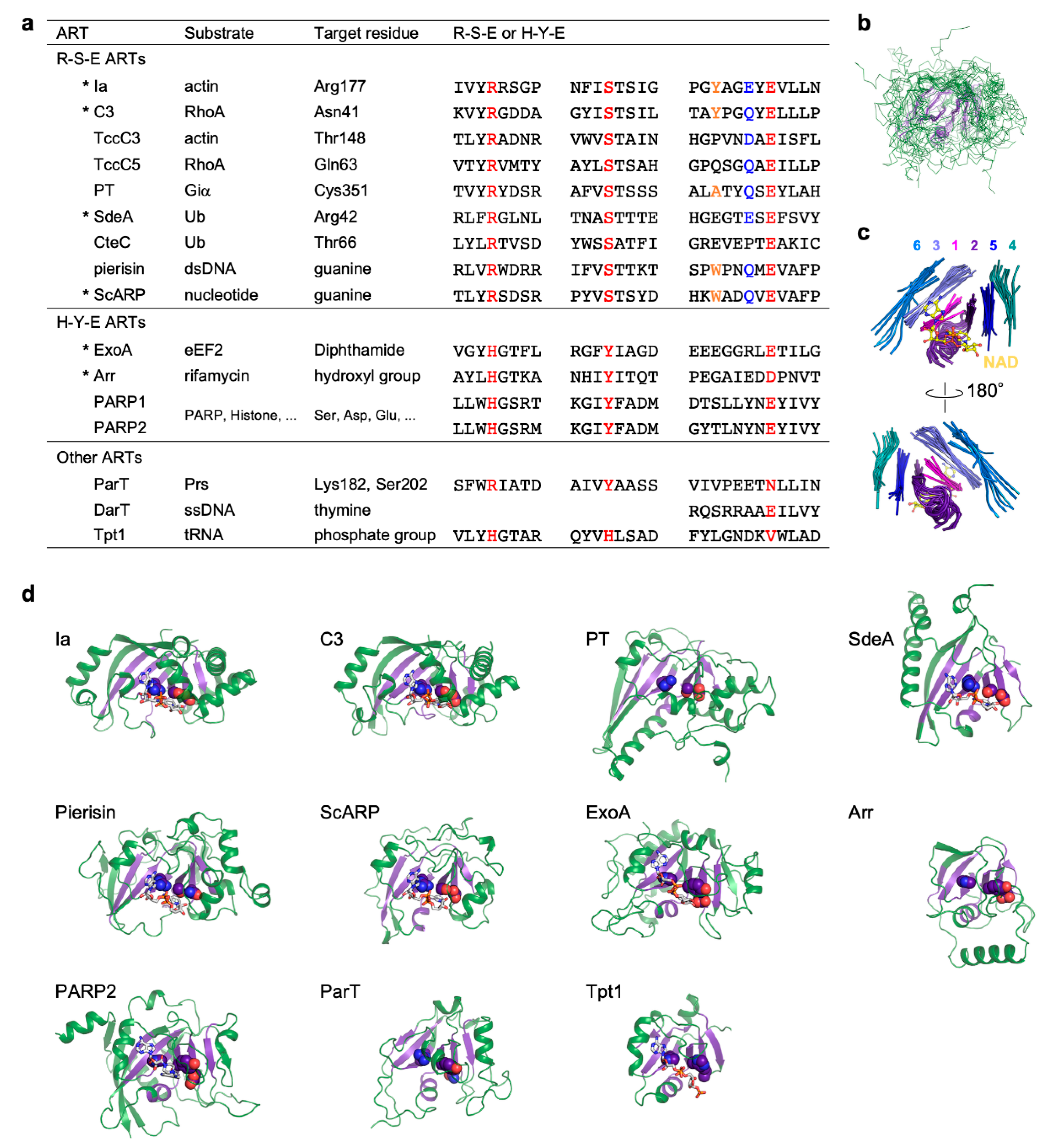 Toxins 13 00040 g001