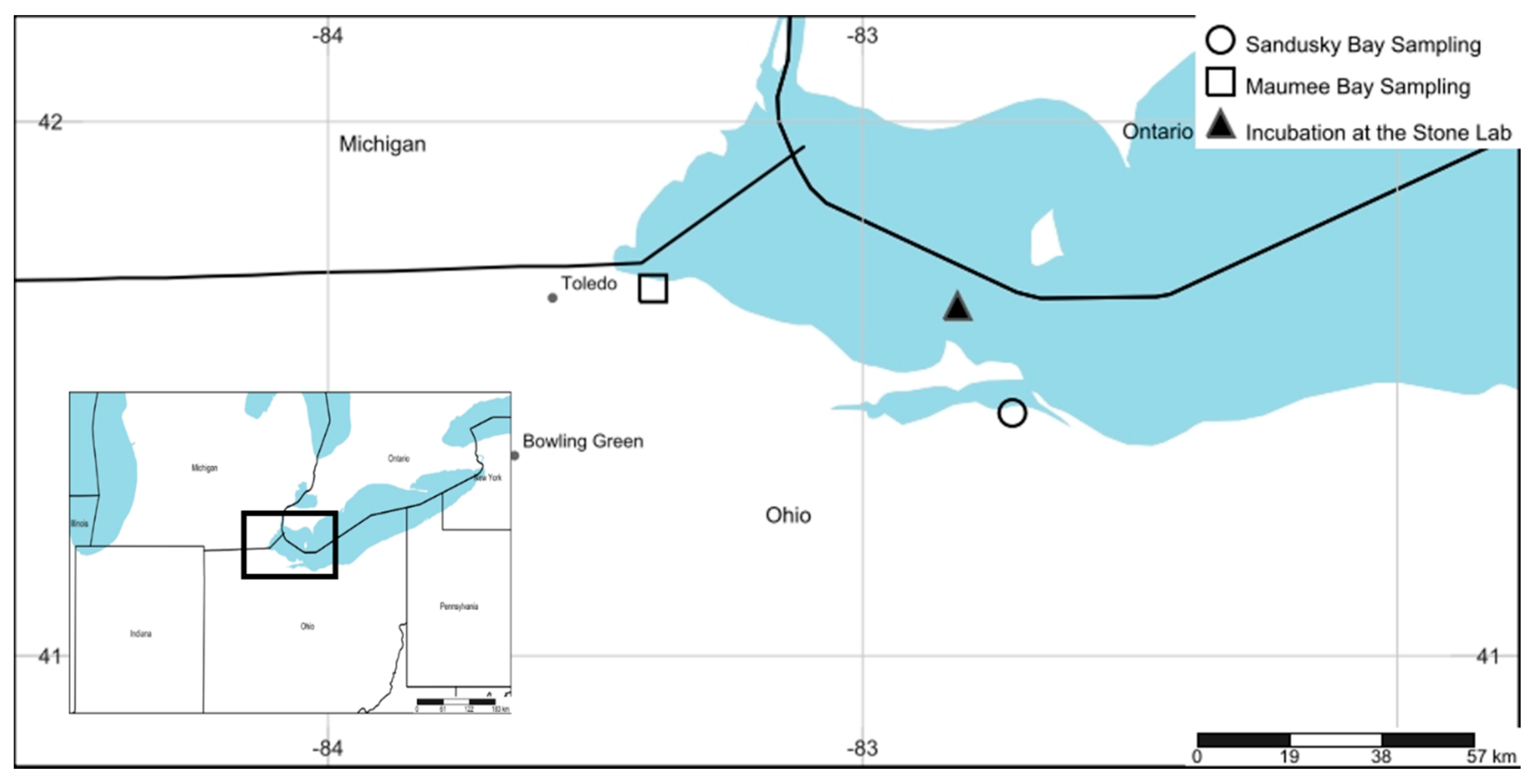 Toxins 13 00047 g008