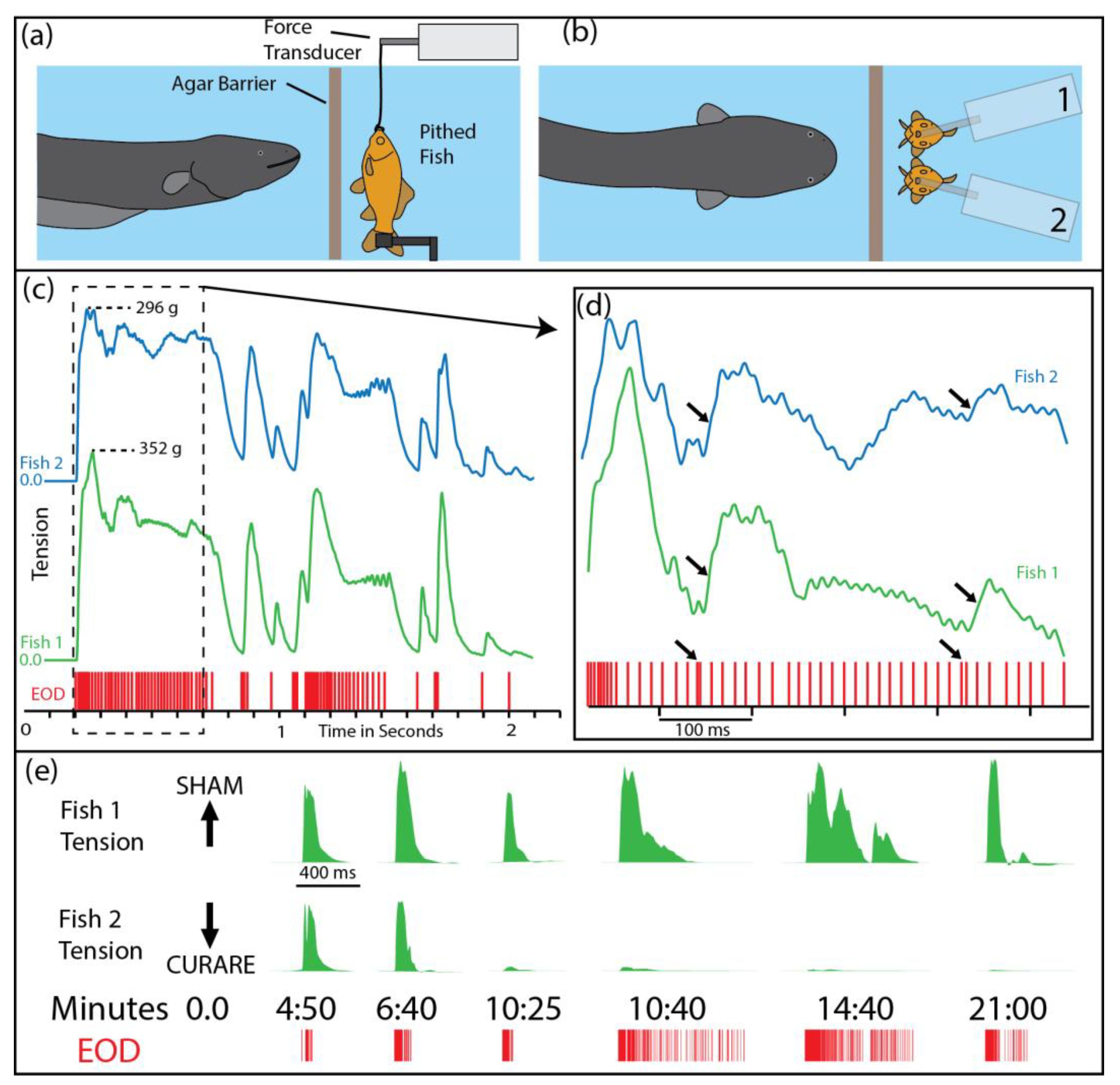Toxins 13 00048 g001