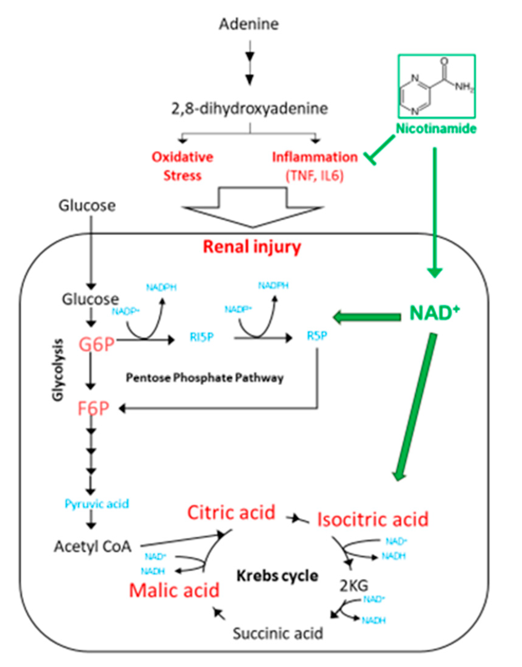 Toxins 13 00050 g007