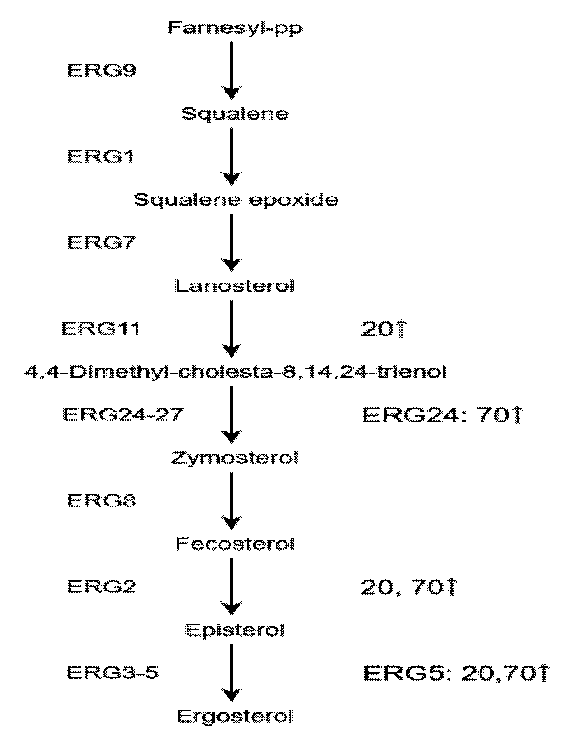 Toxins 13 00051 g007 Toxins 13 00051 g007