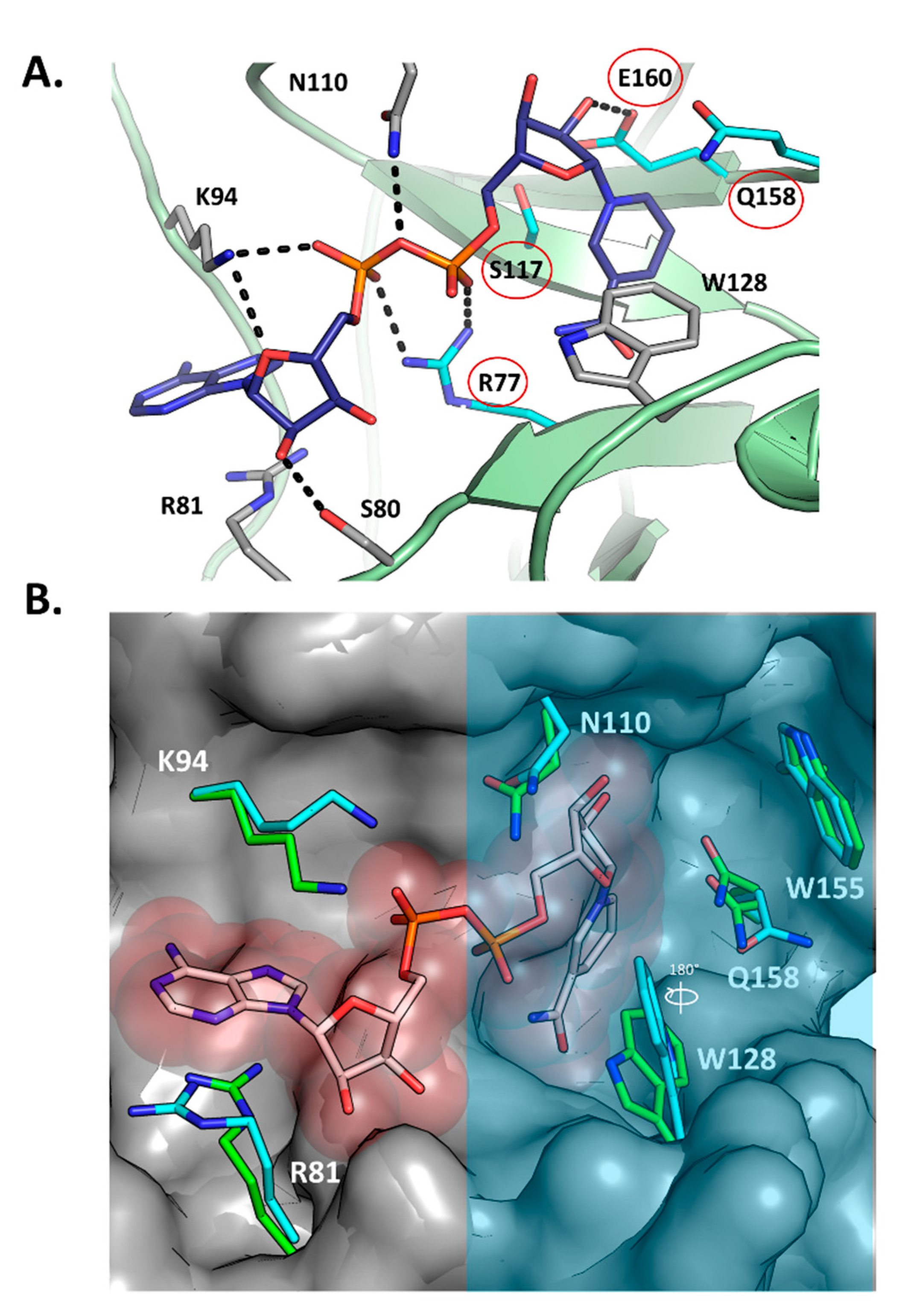 Toxins 13 00055 g003