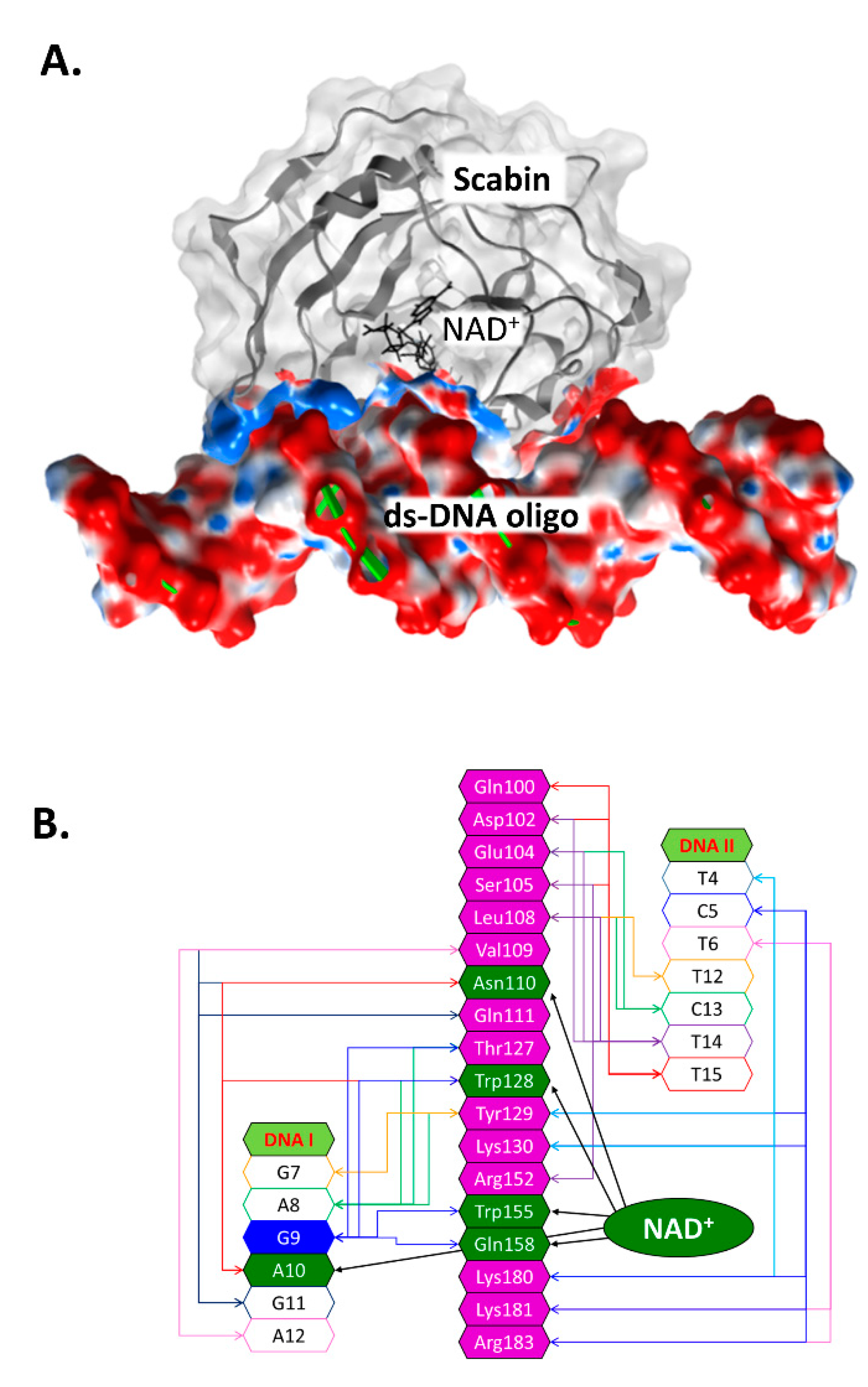 Toxins 13 00055 g004
