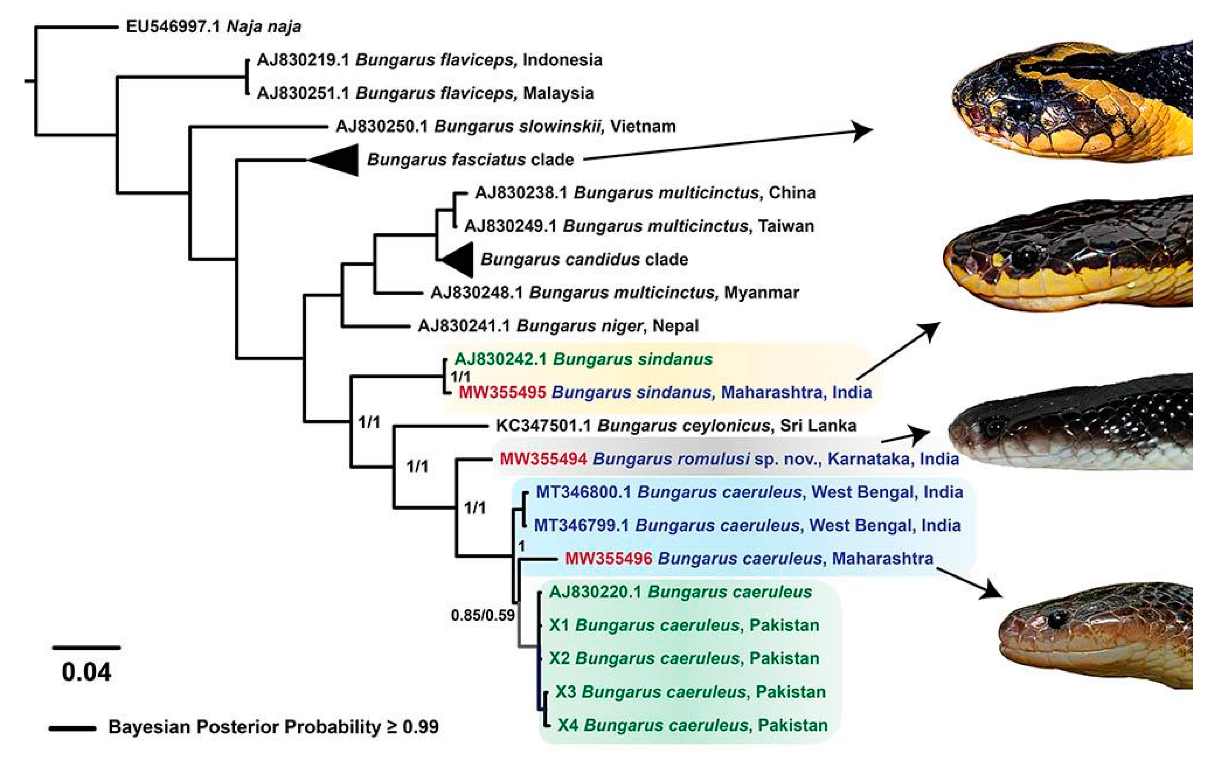 Toxins 13 00069 g002 Toxins 13 00069 g002