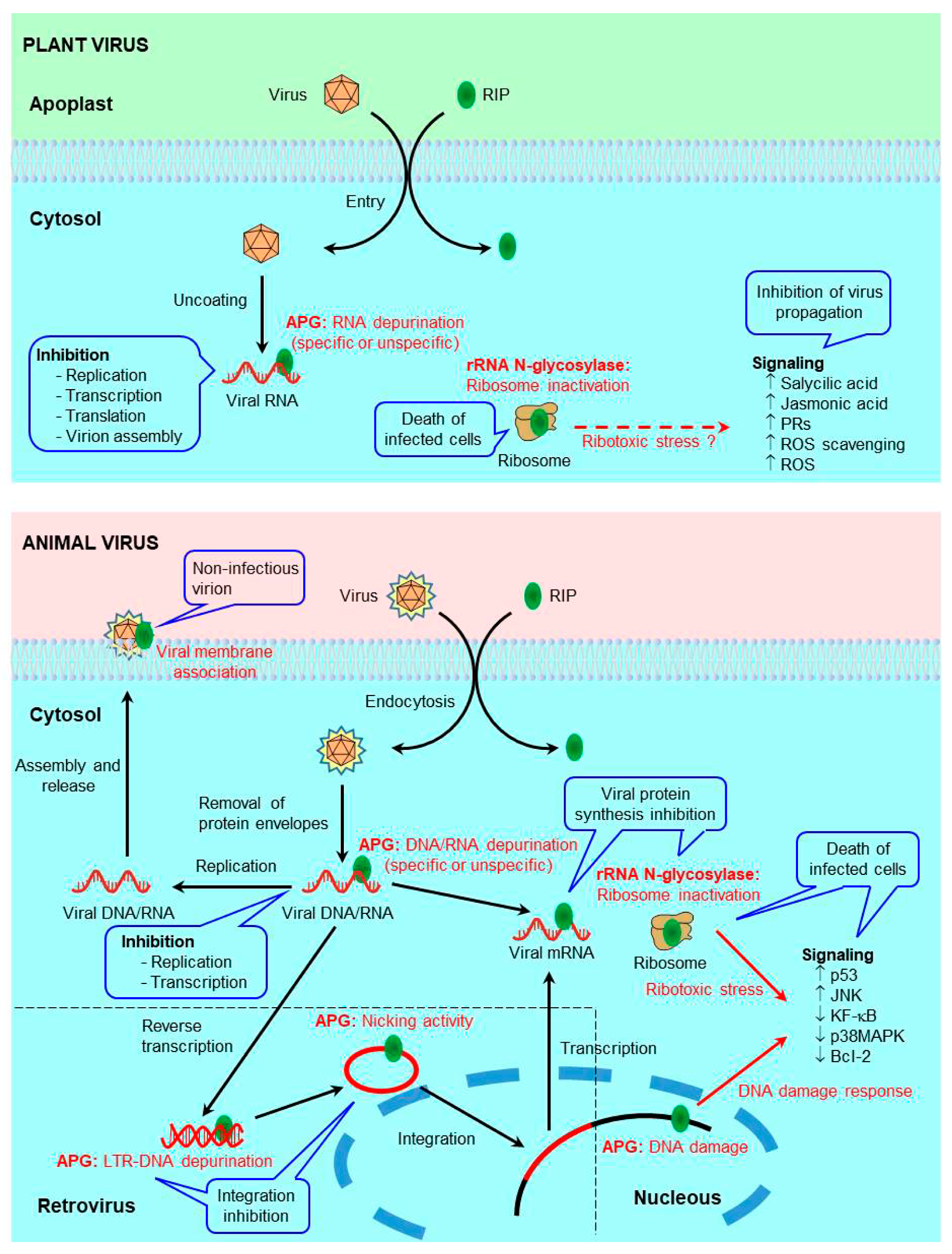 Toxins 13 00080 g001 Toxins 13 00080 g001