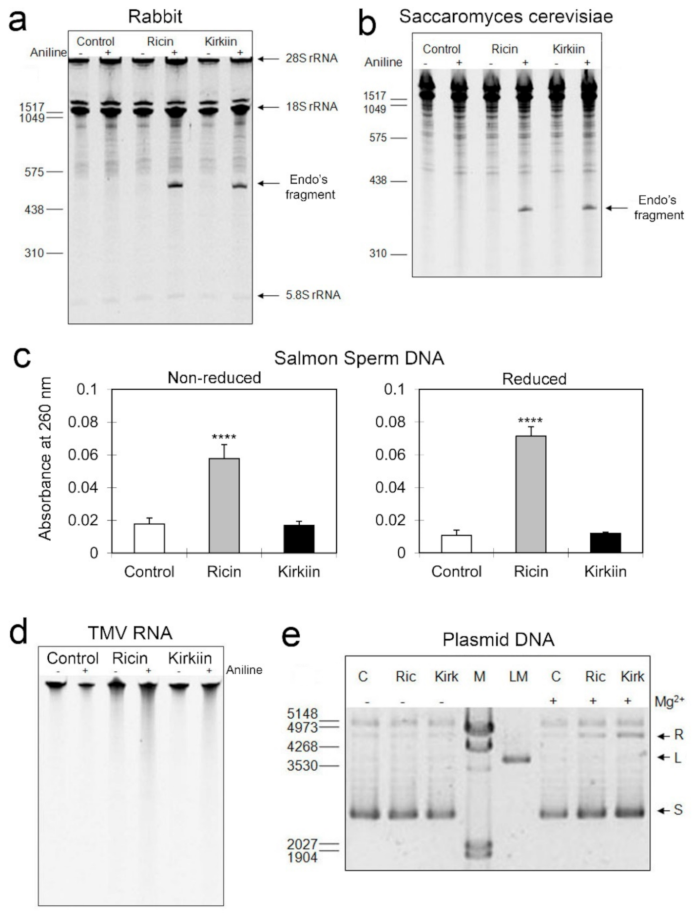 Toxins 13 00081 g002 Toxins 13 00081 g002