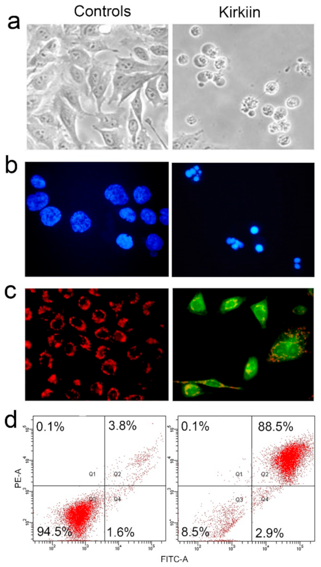 Toxins 13 00081 g005 Toxins 13 00081 g005