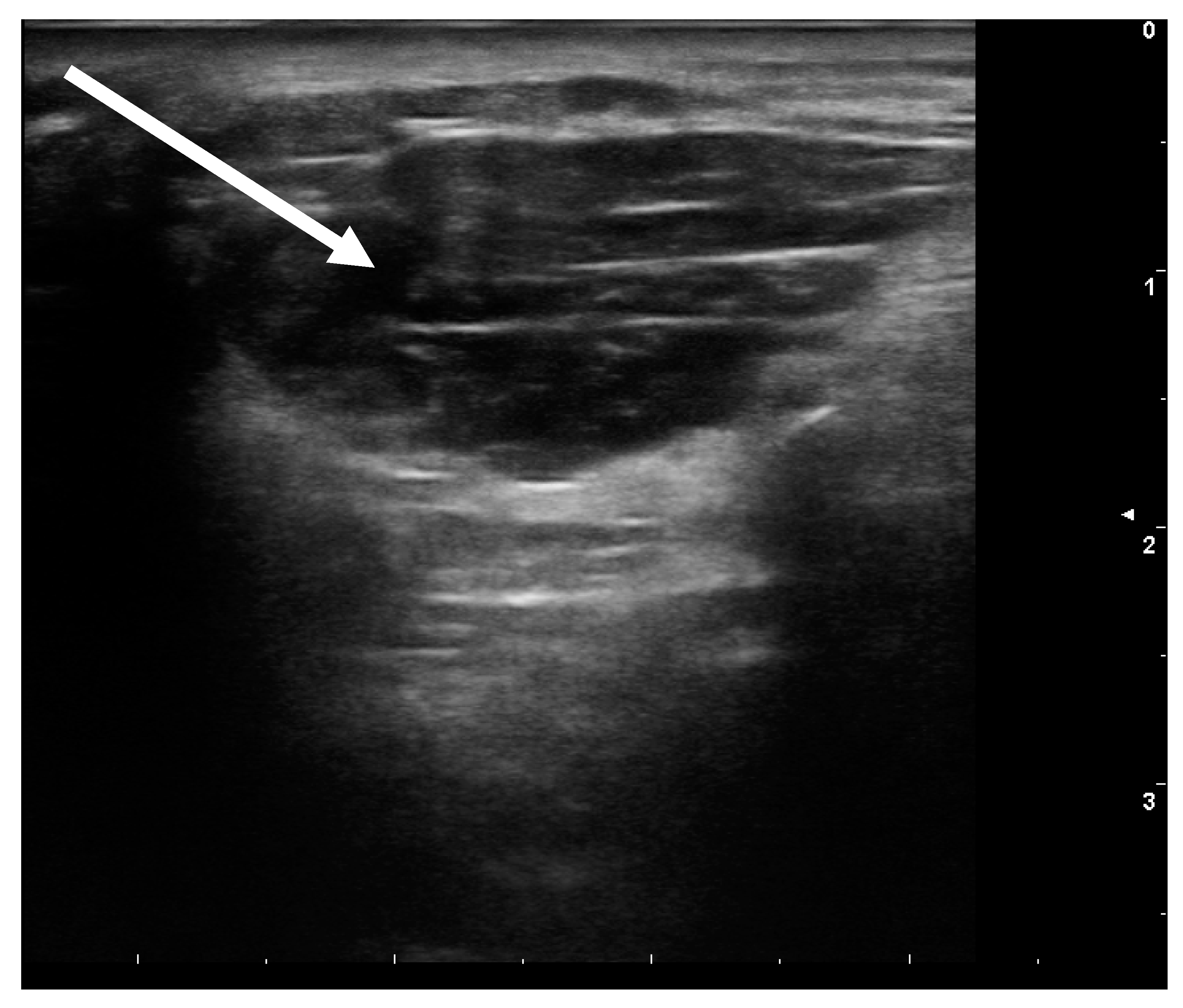 Toxins 13 00087 g002